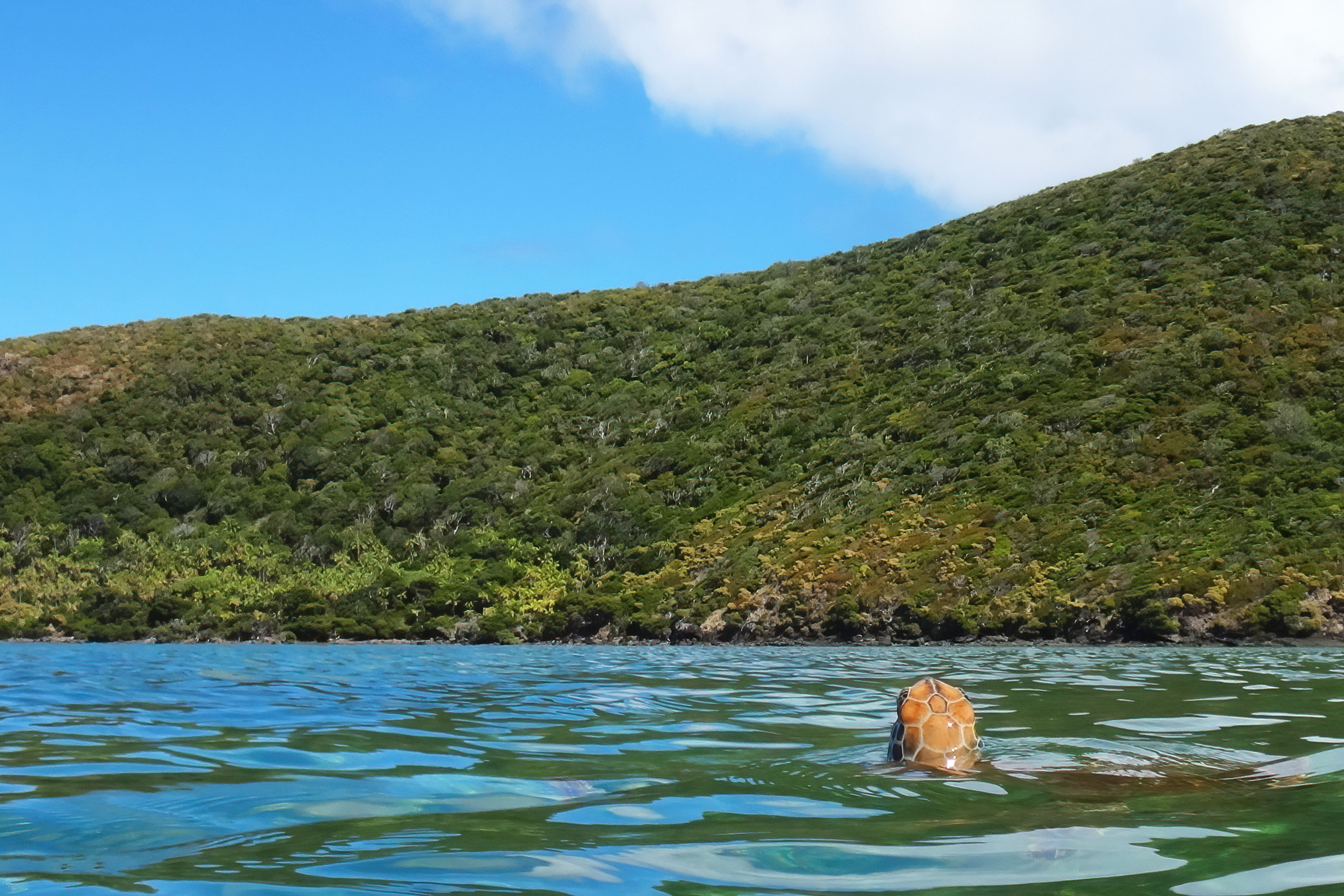 Lord Howe Island