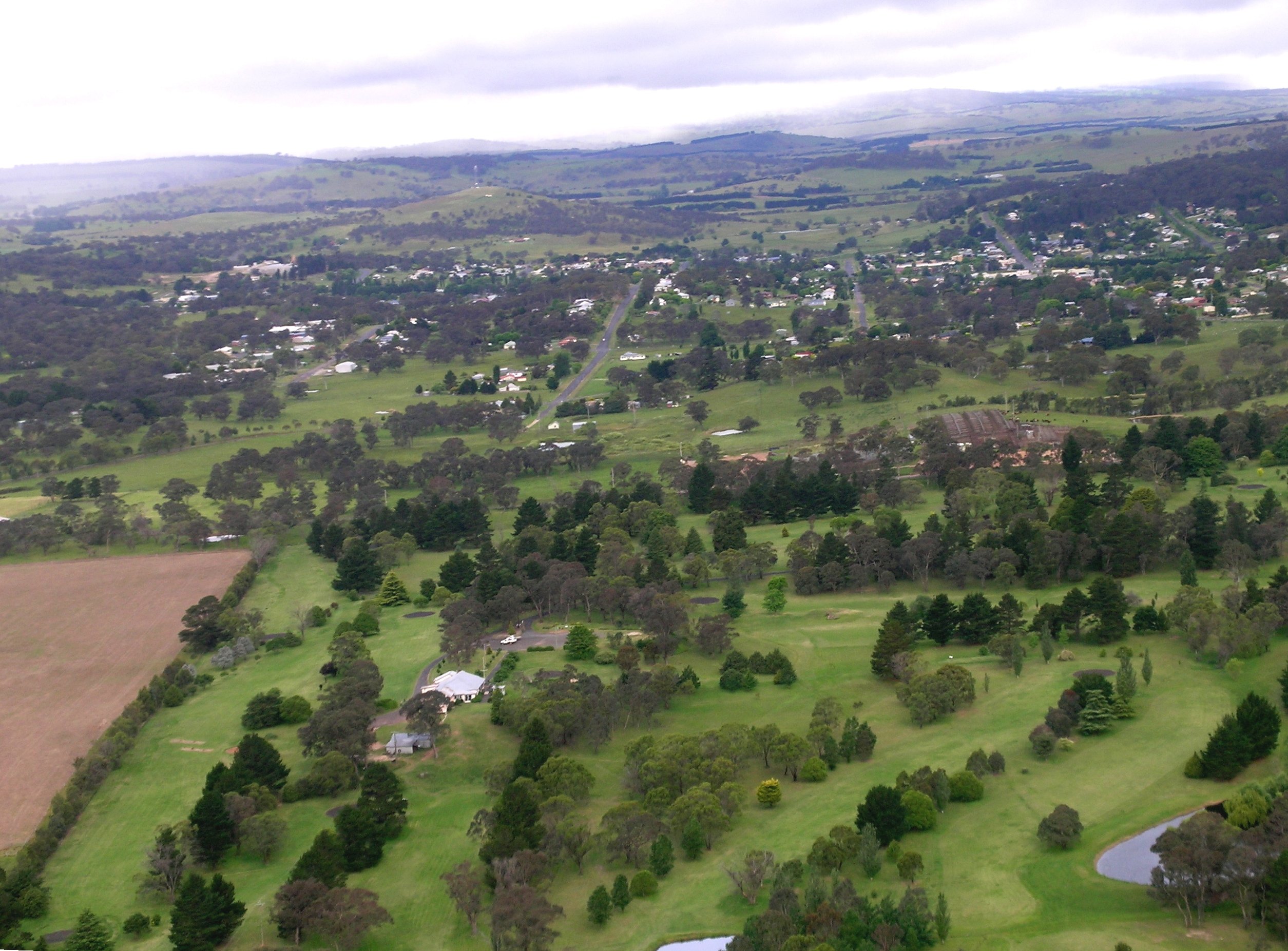 Walcha