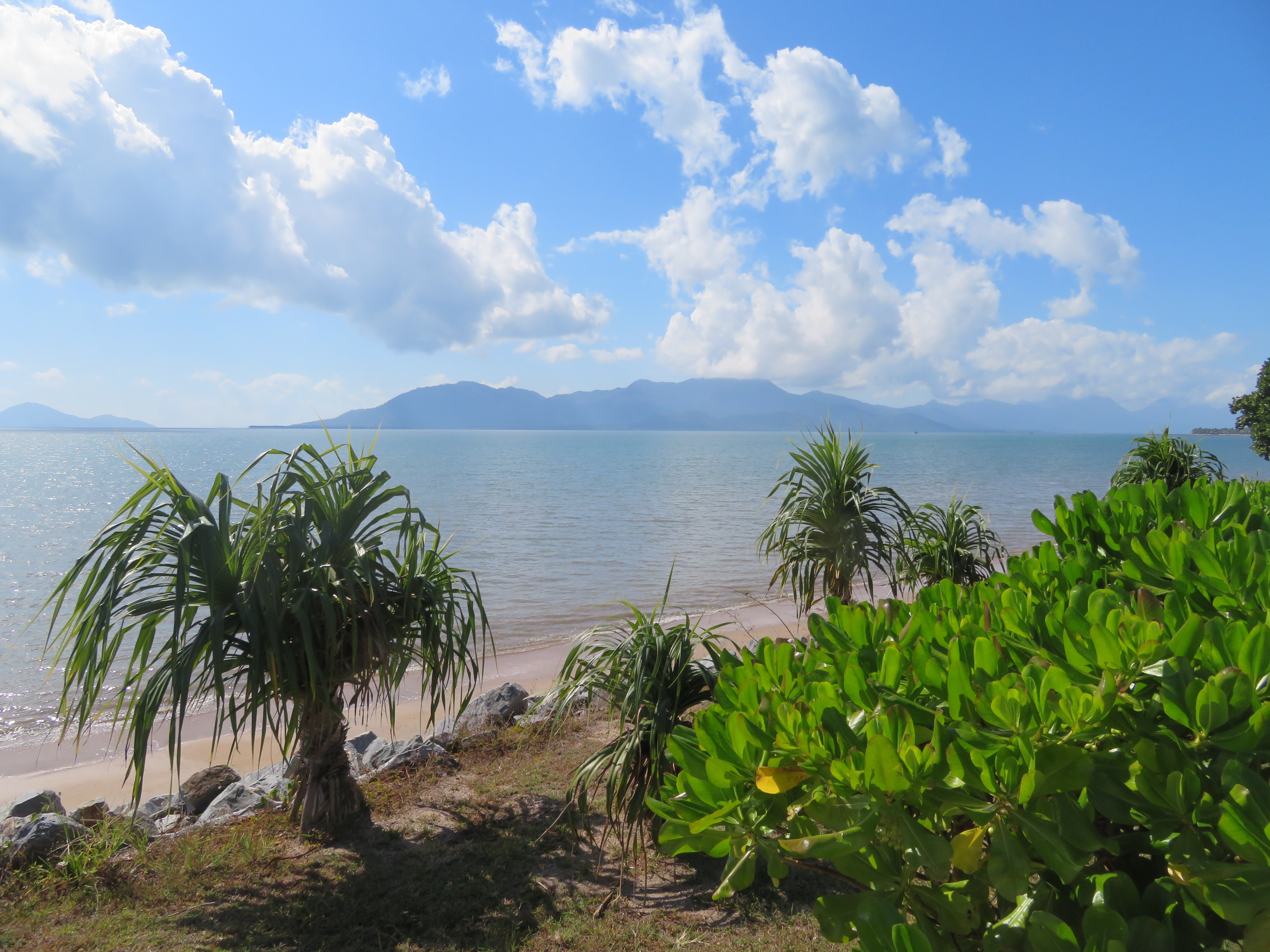 Cardwell