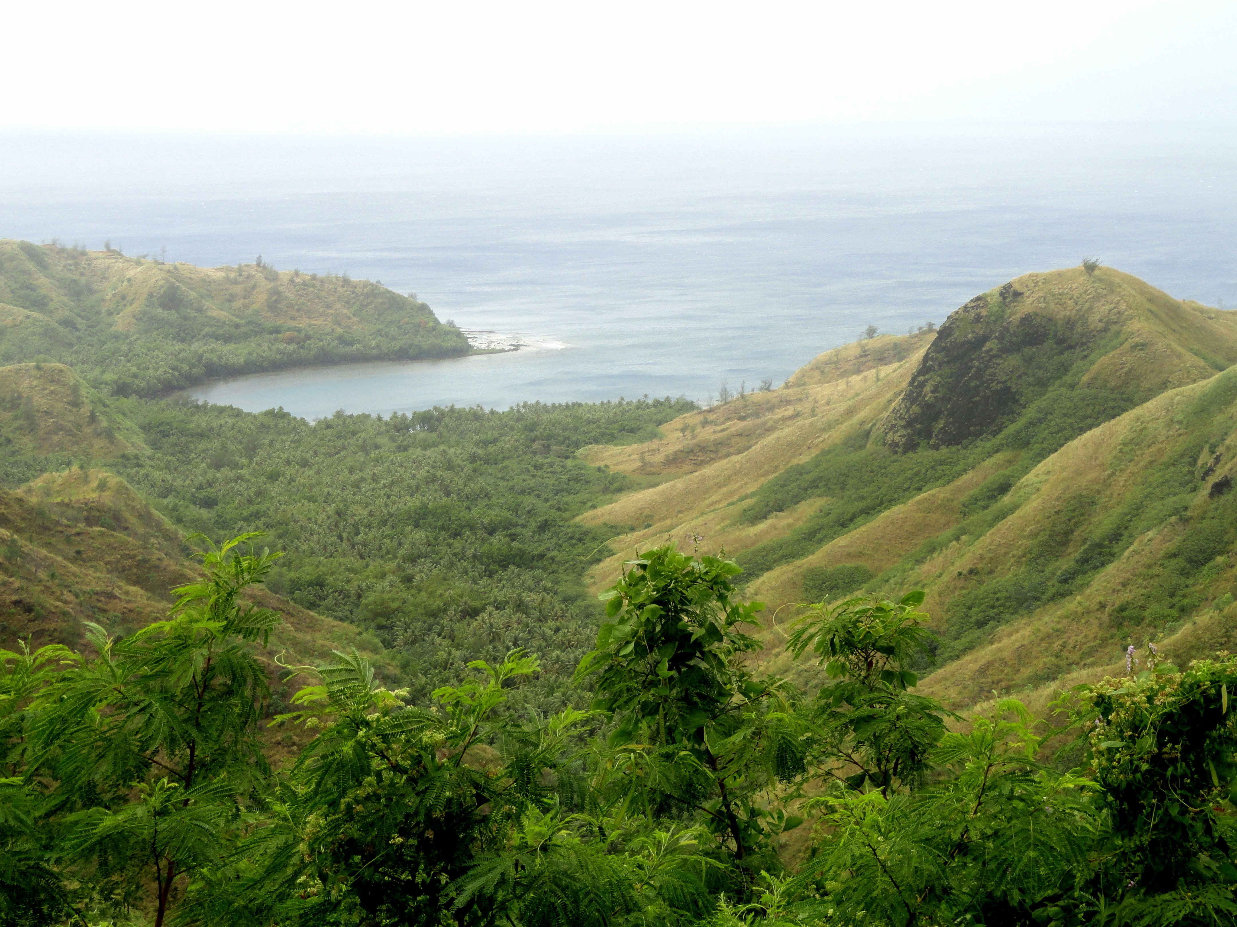 Cetti Bay