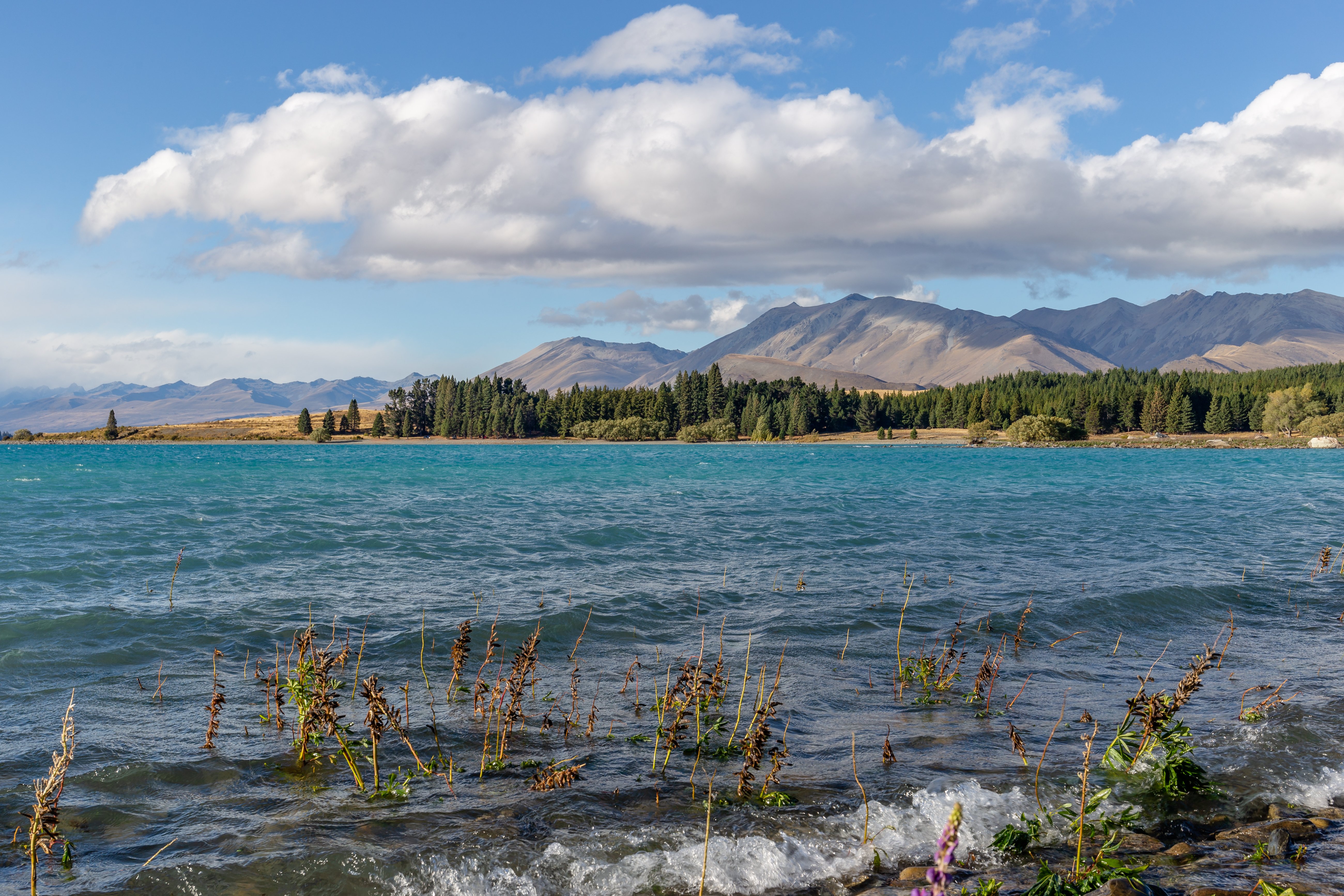 Lake Tekapo