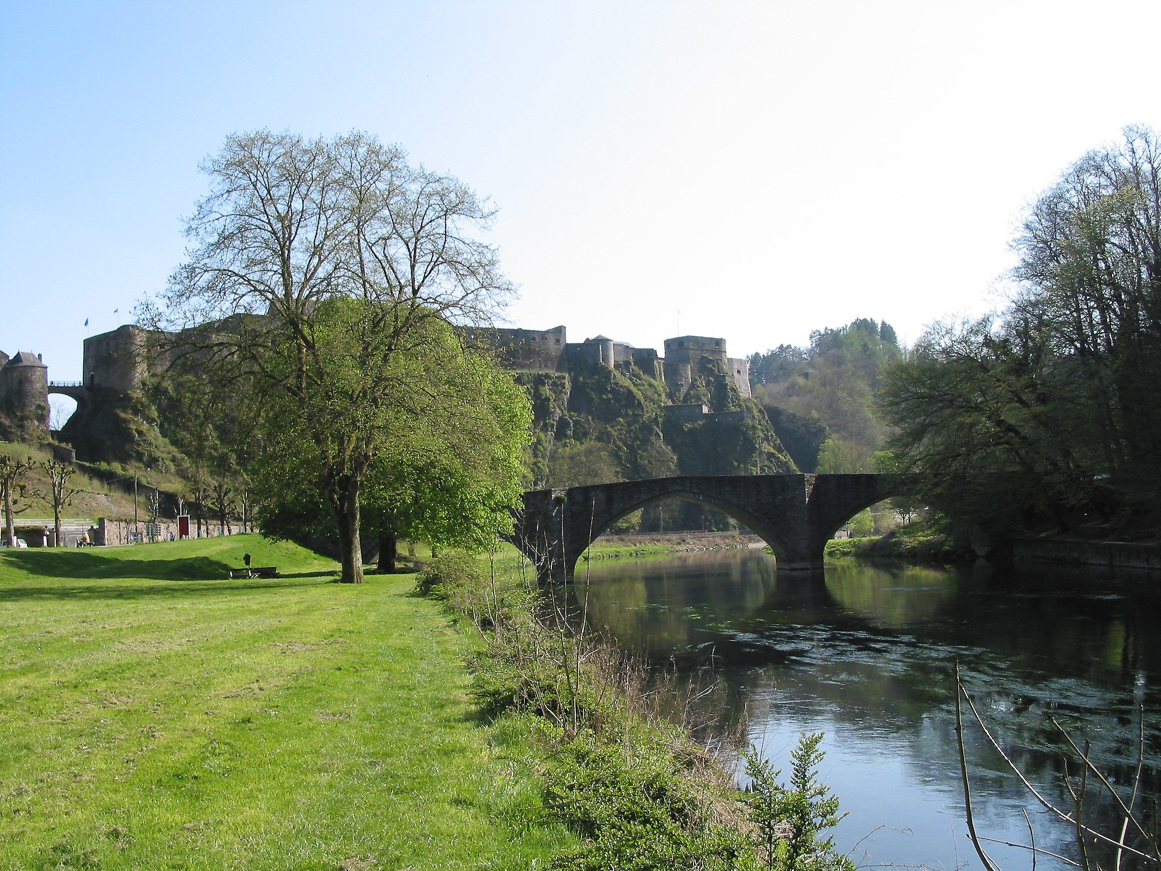 Bouillon