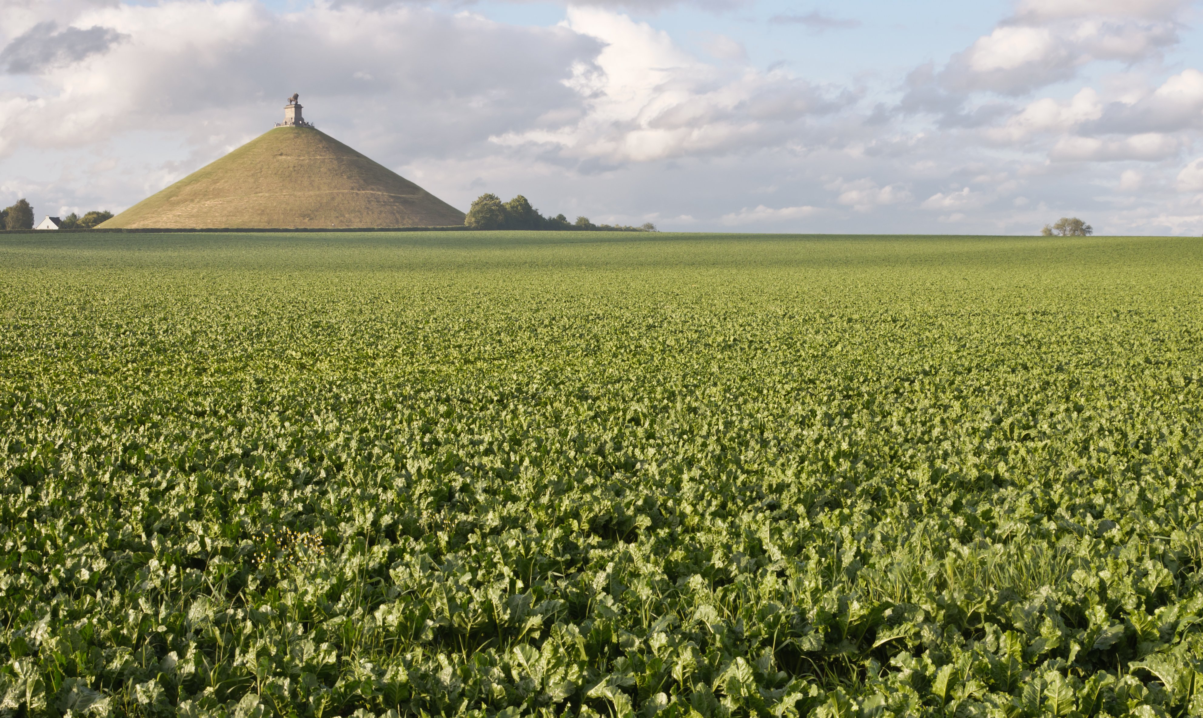 Waterloo