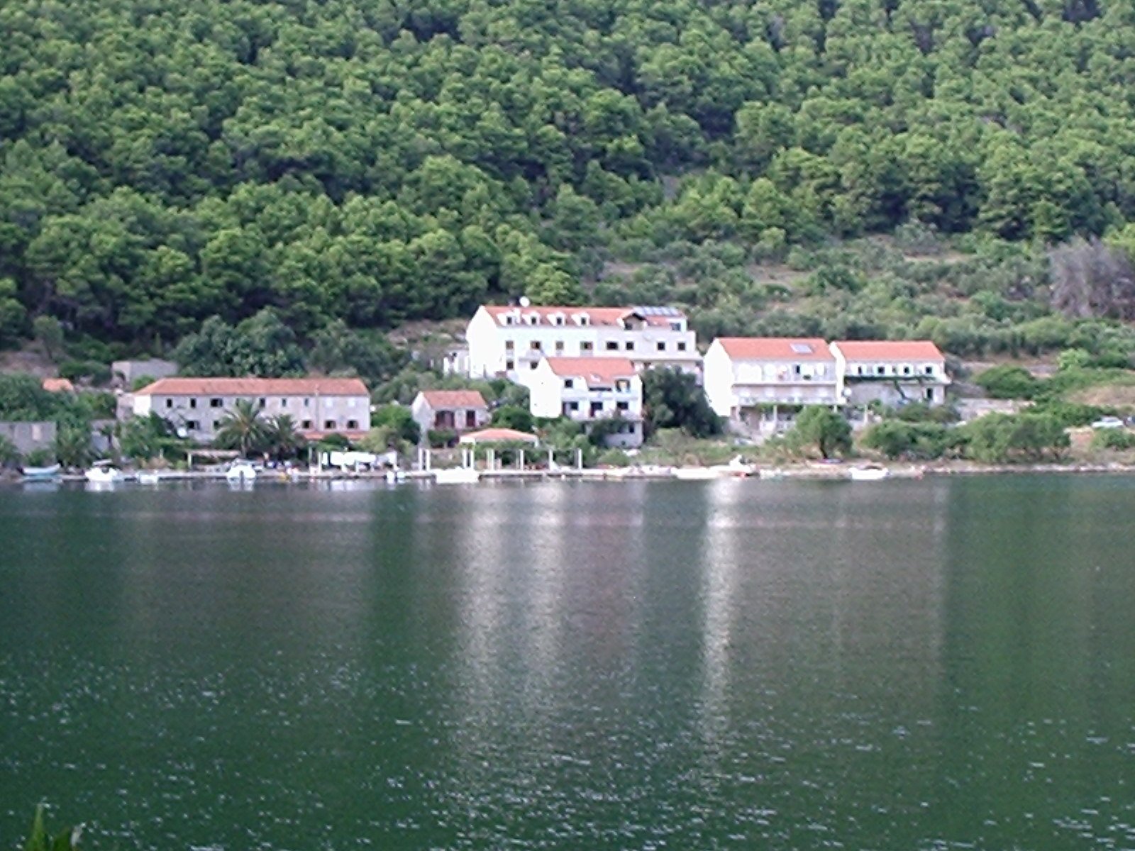 Soline