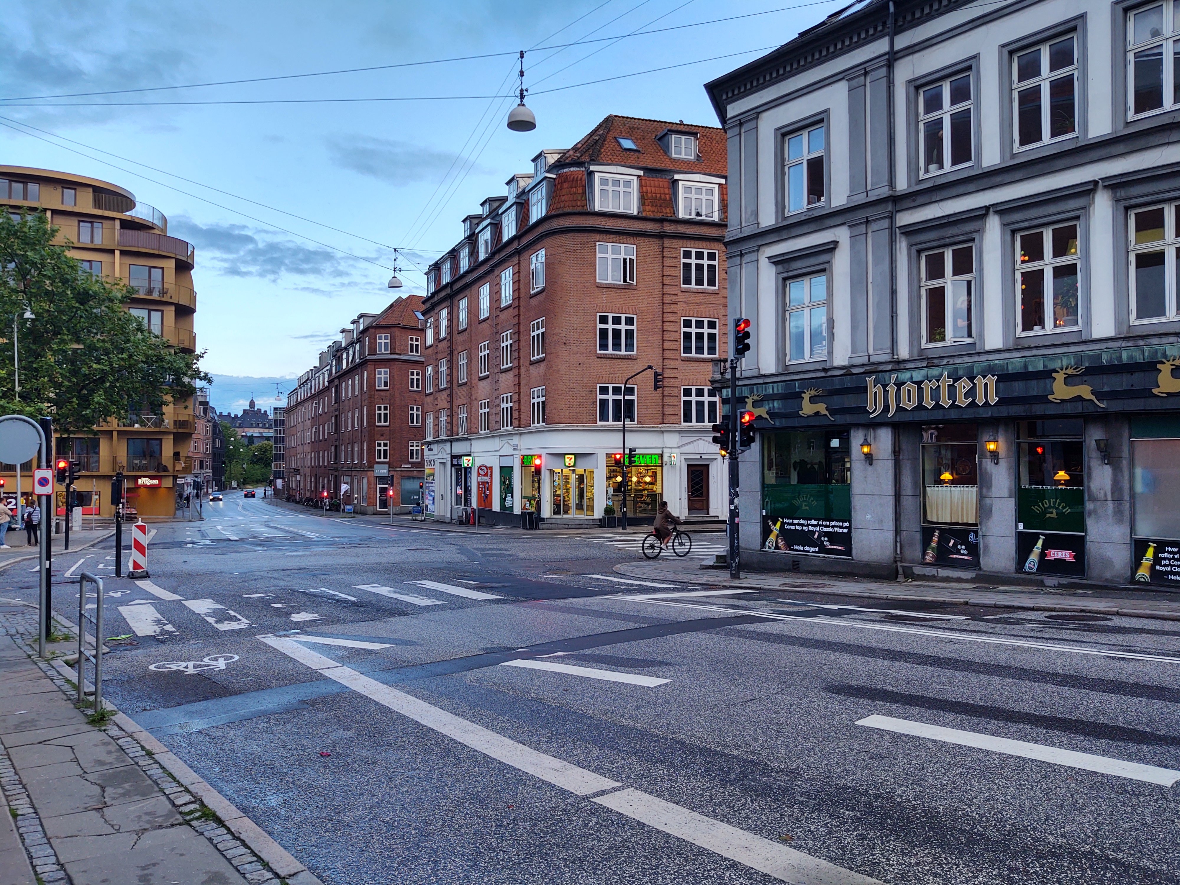Vesterbro and Meatpacking District