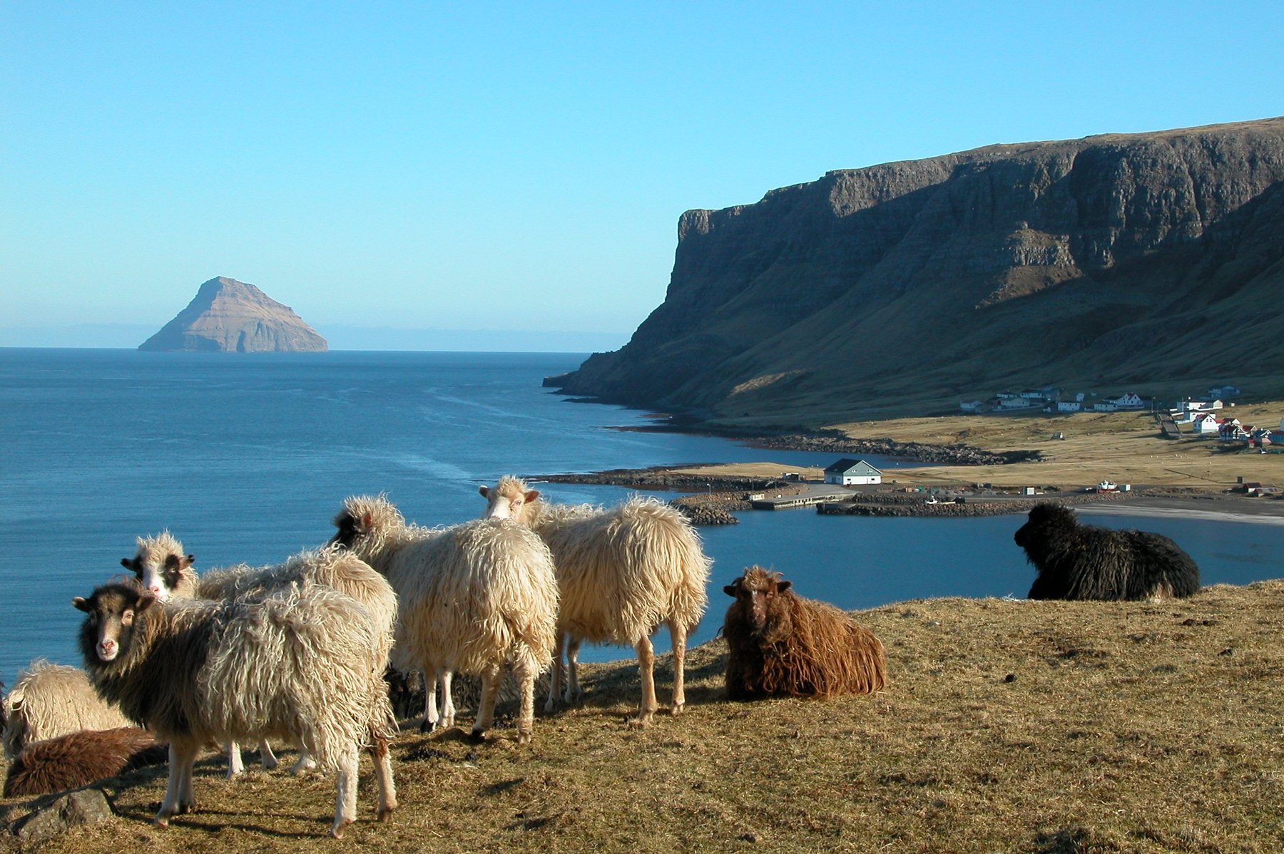 Suðuroy