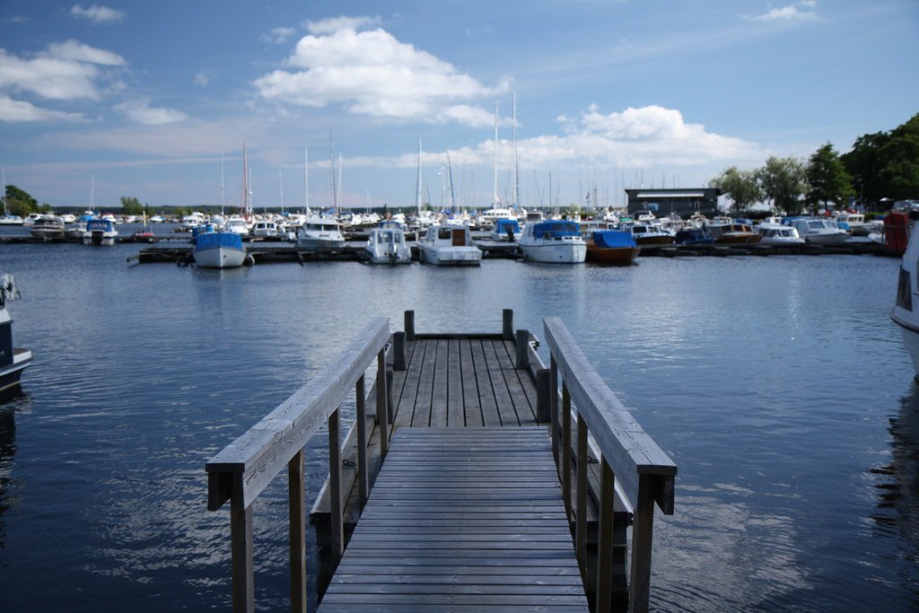 Kotka