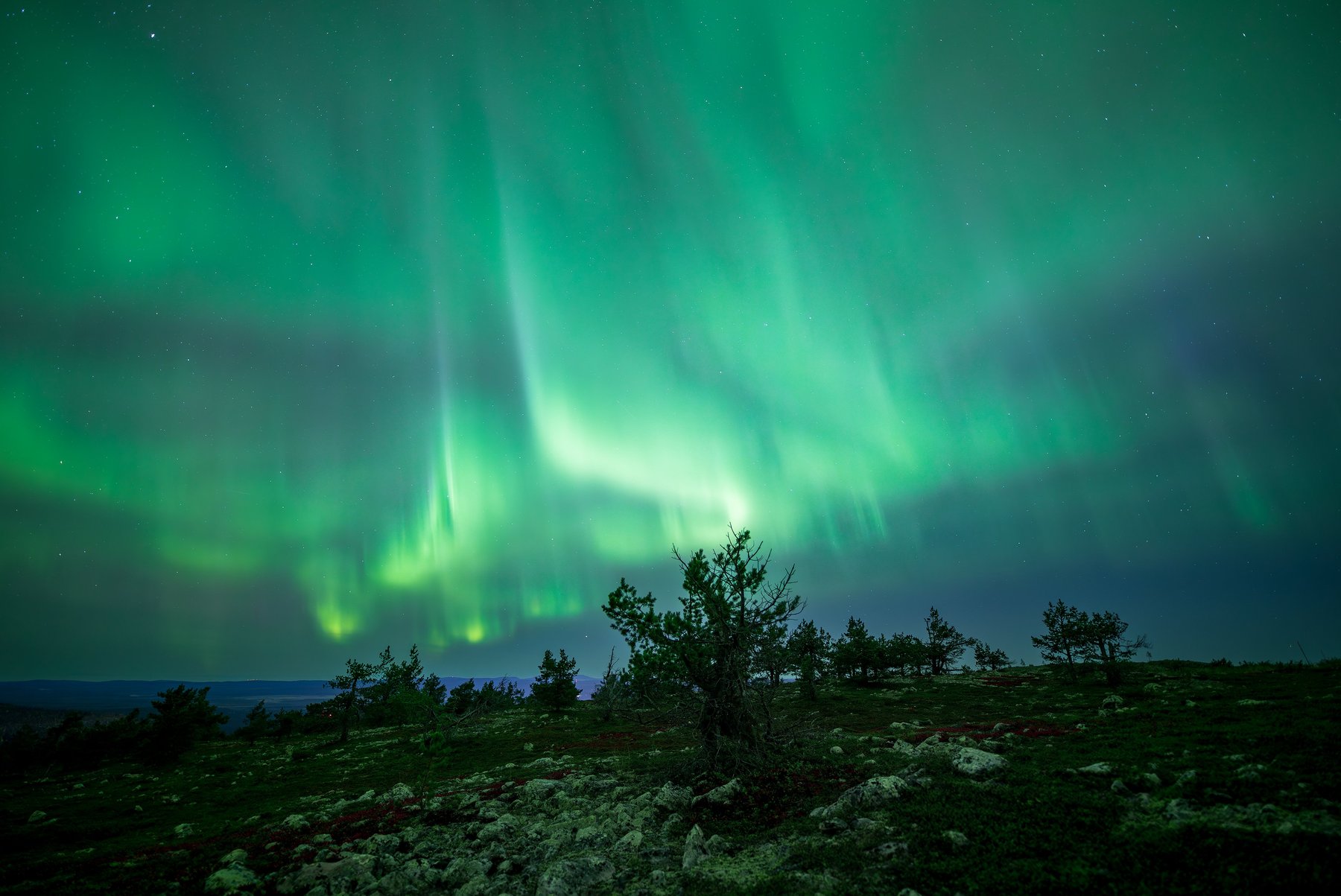 Lapland