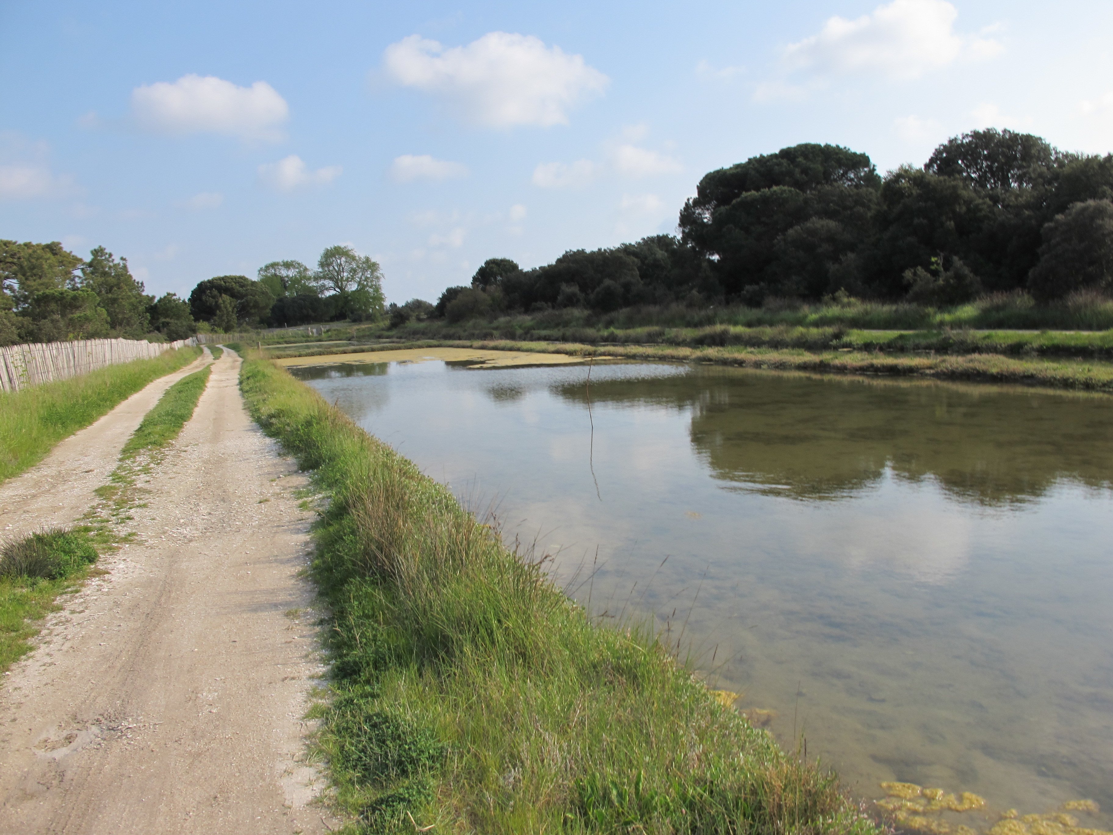 Ile d'Oleron