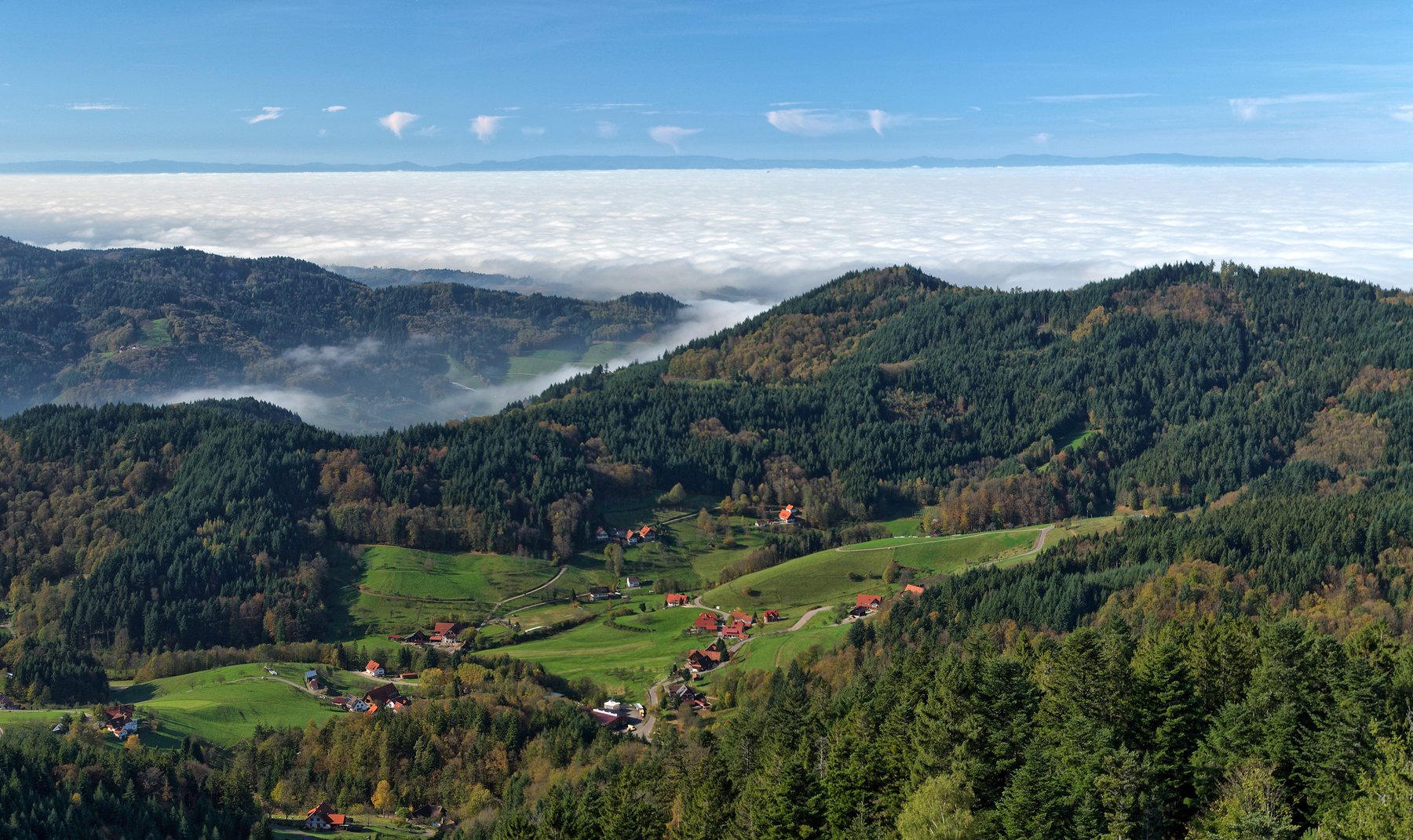 Black Forest