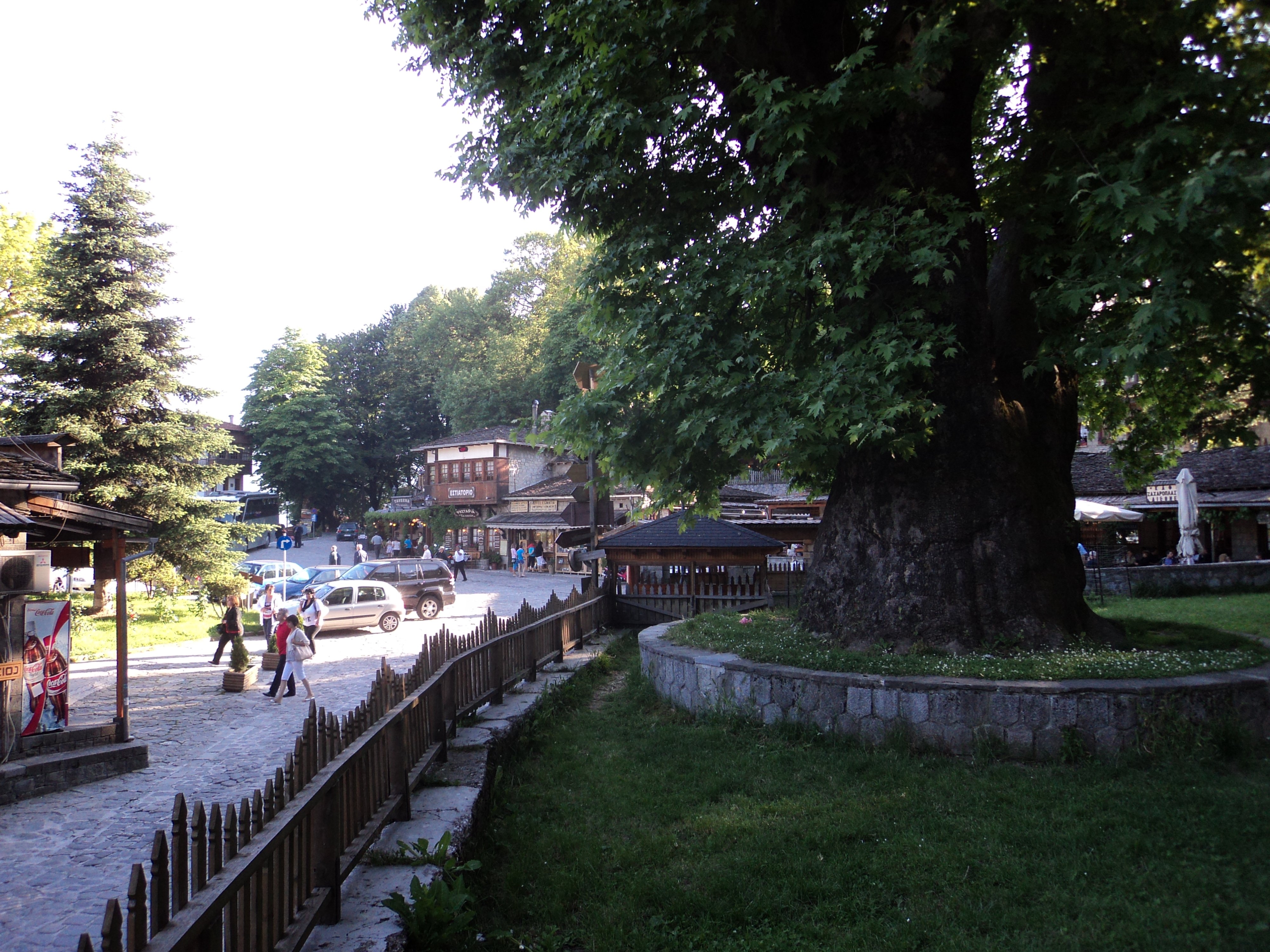 Metsovo