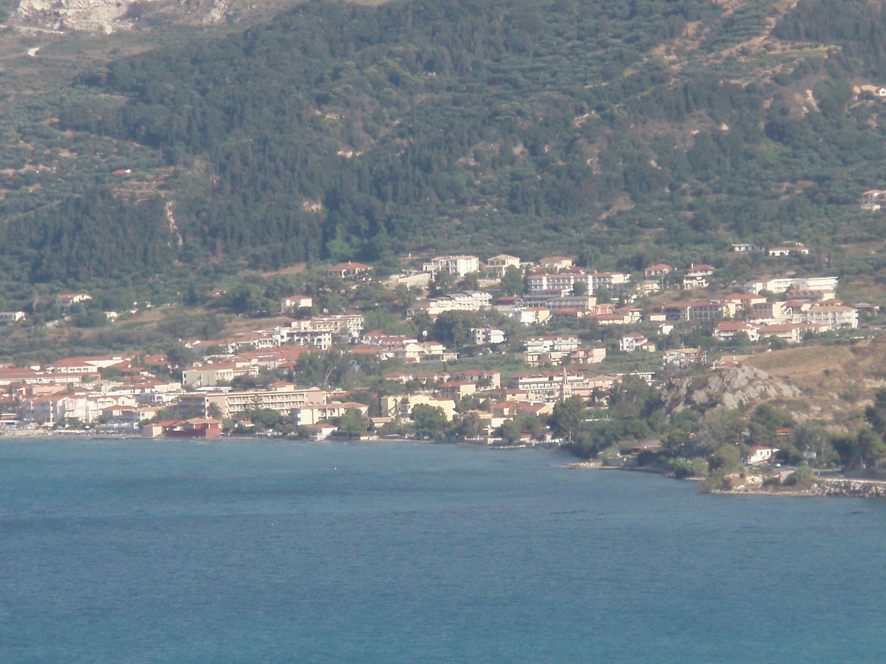 Argassi