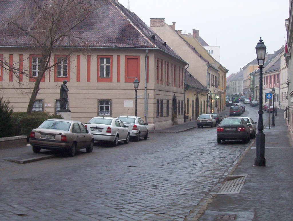 Castle District