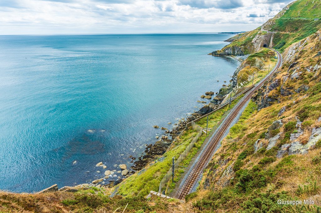 Bray