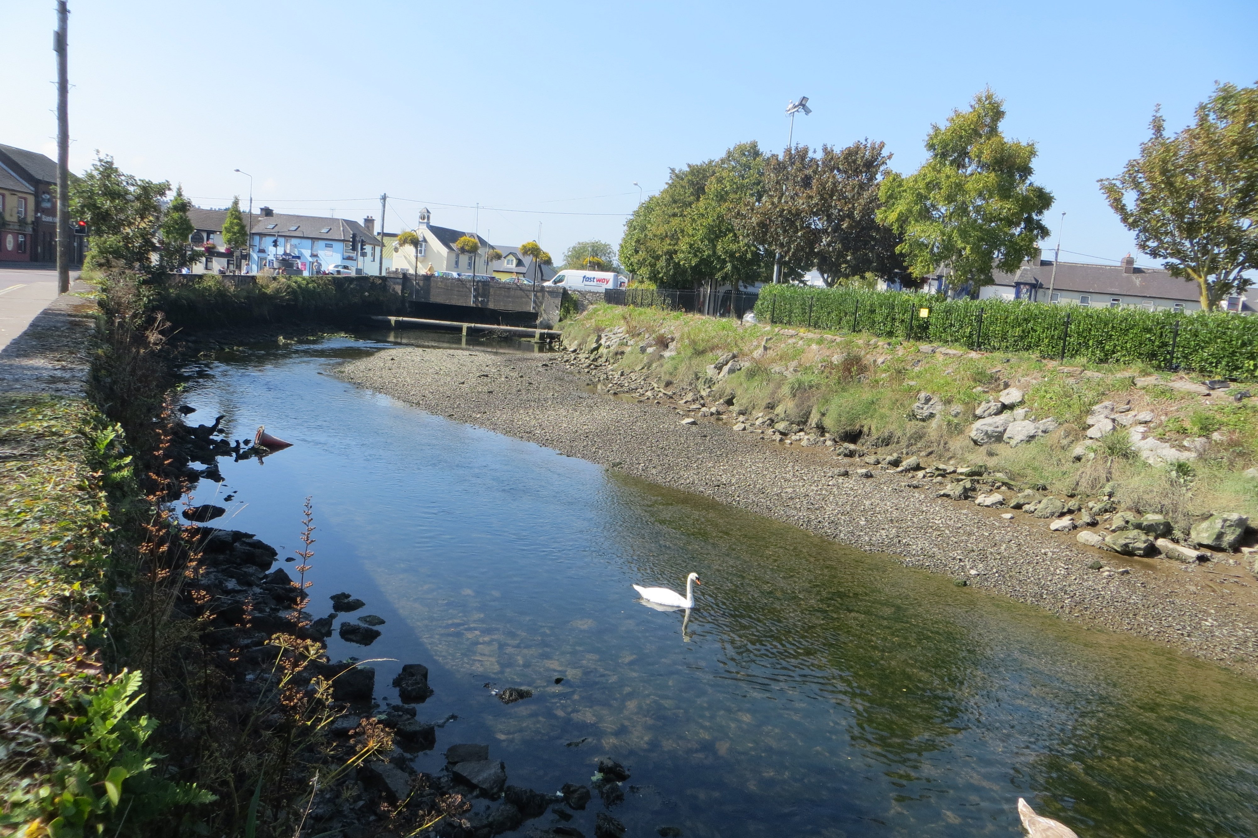 Carrigaline