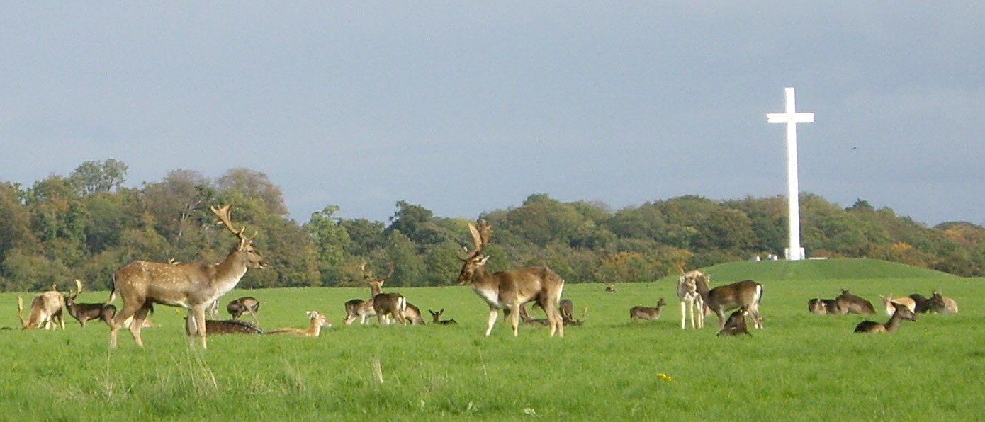 Phoenix Park Area
