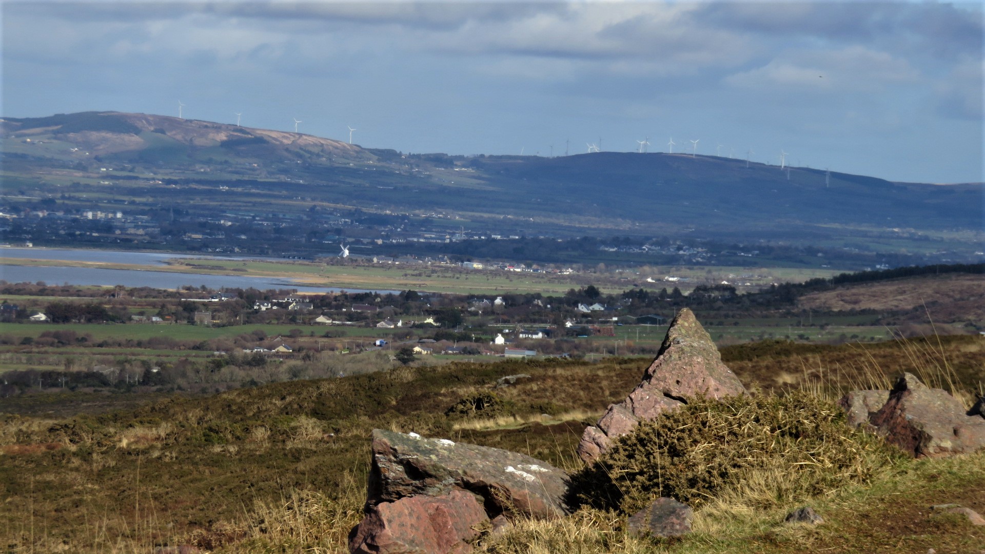 Tralee