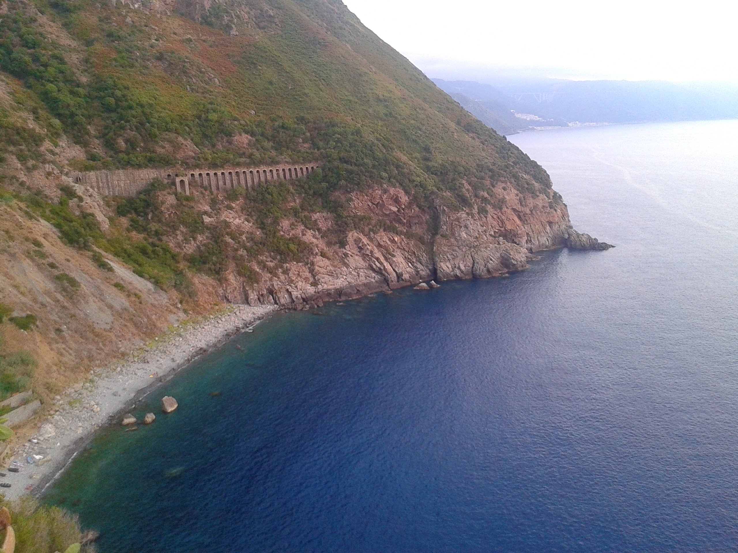 Palmi
