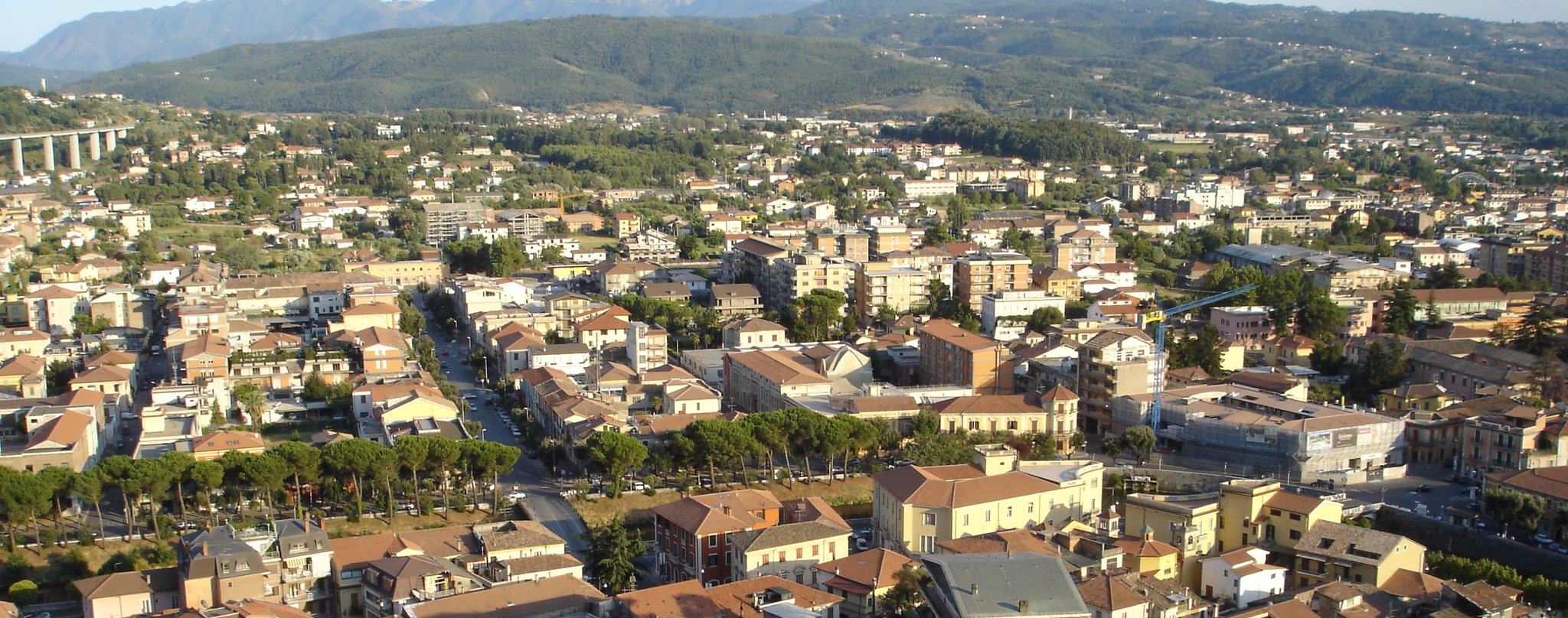Broccostella