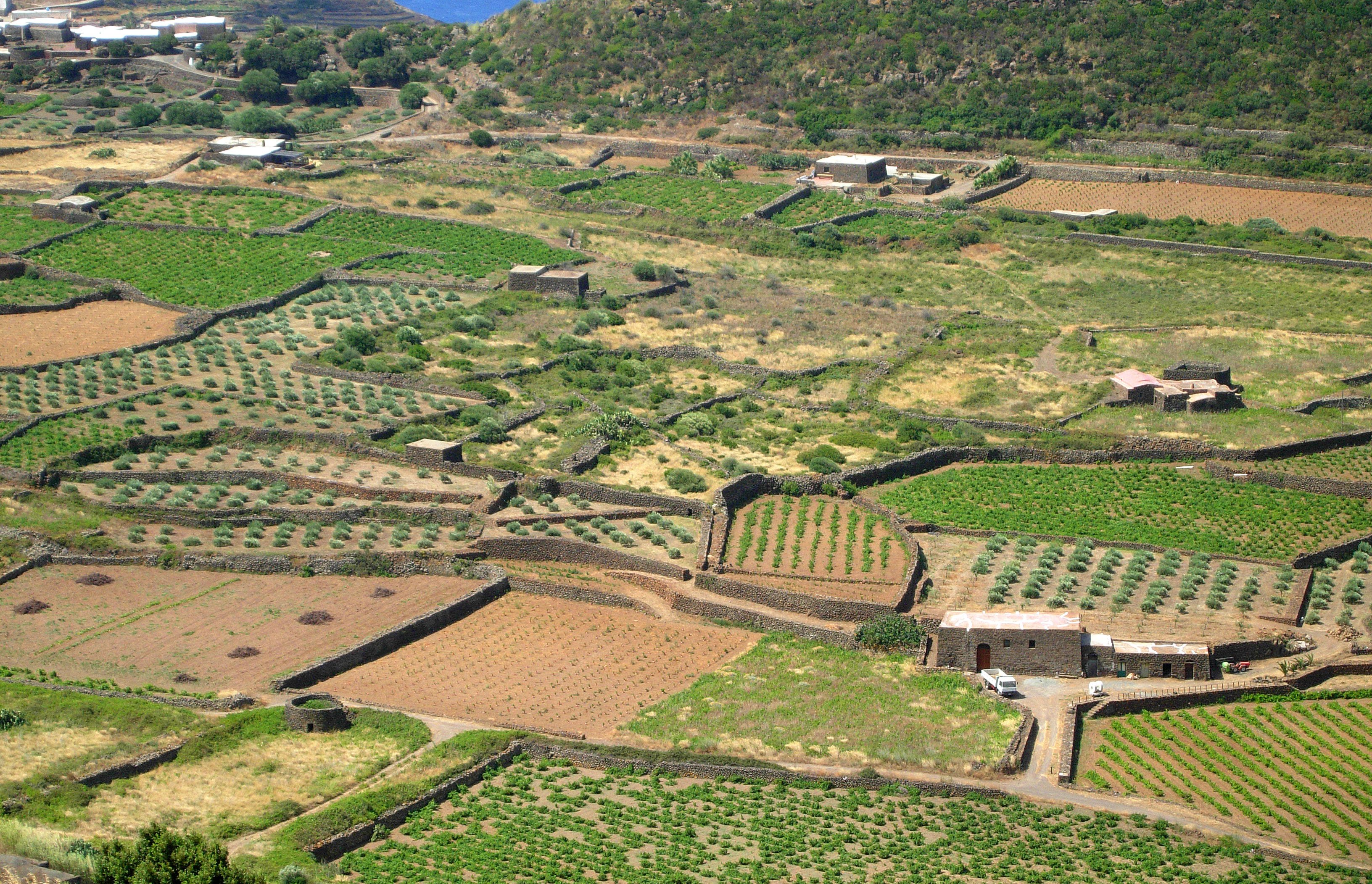 Pantelleria