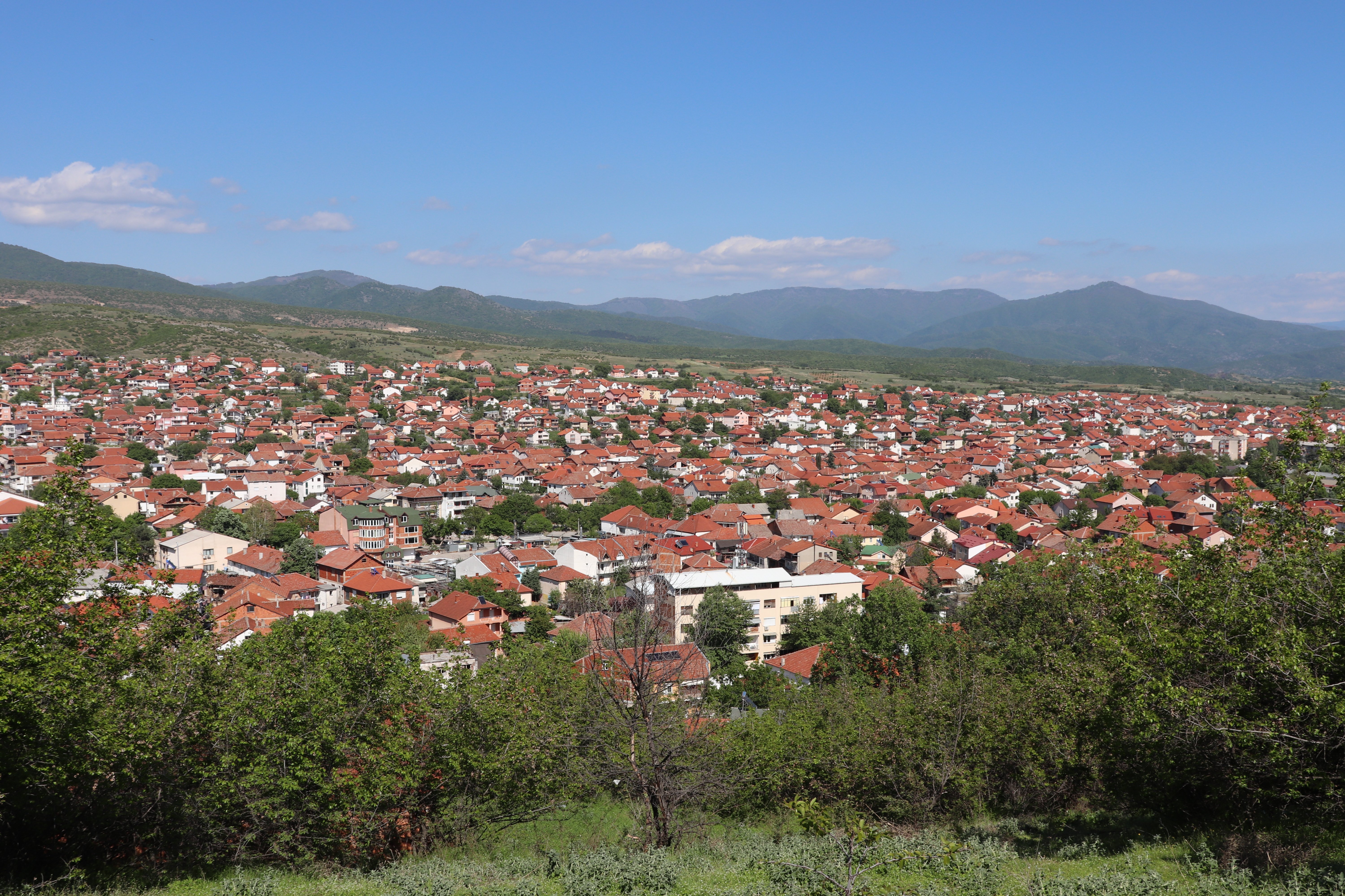 Radovis