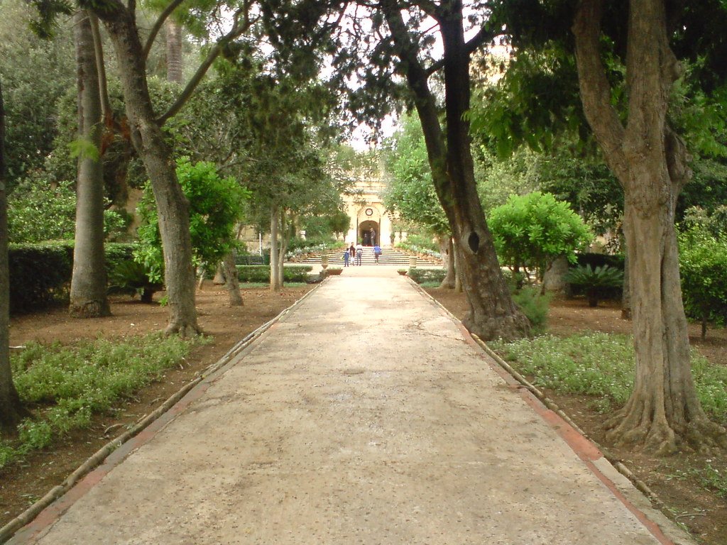 Attard