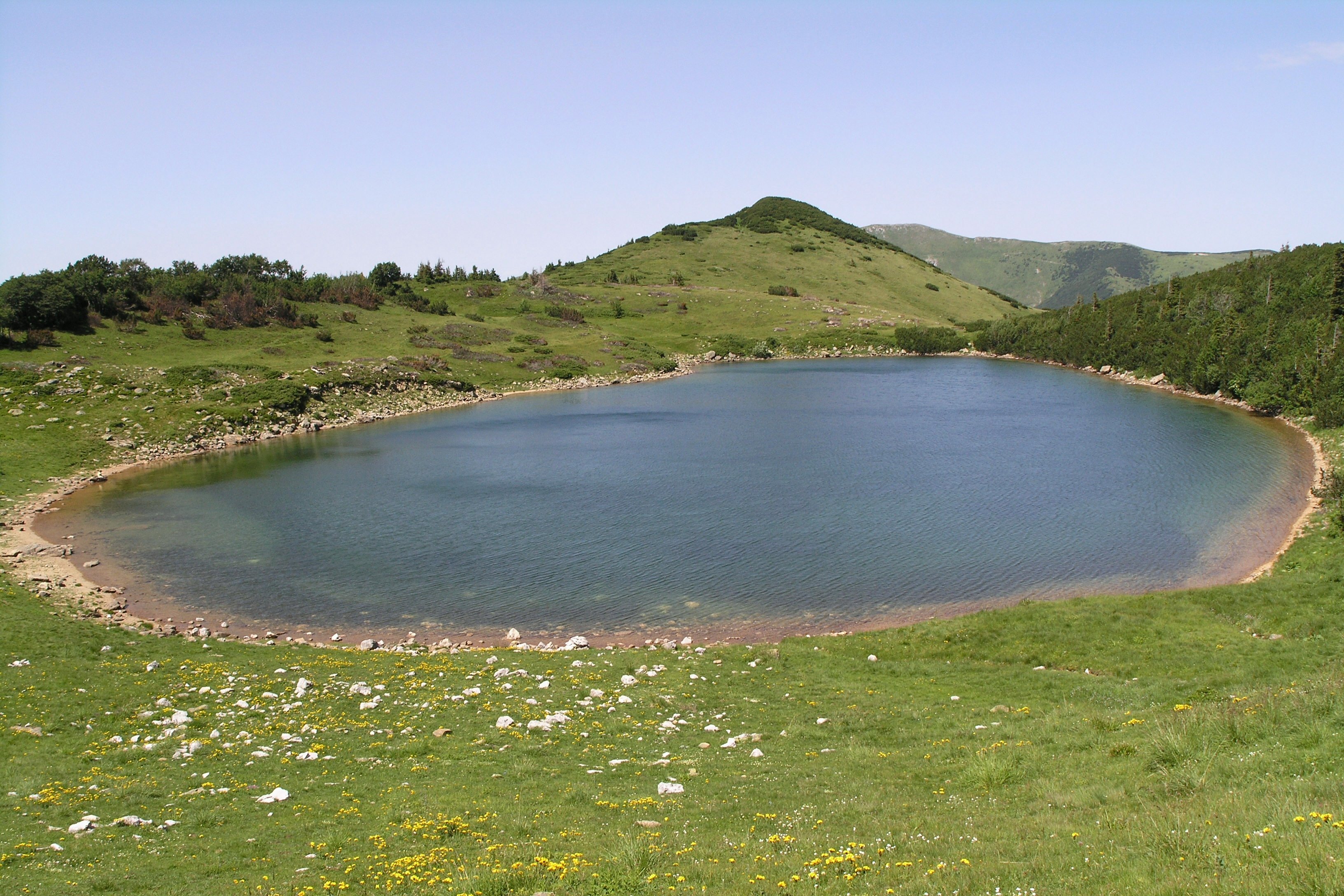 Bjelasica