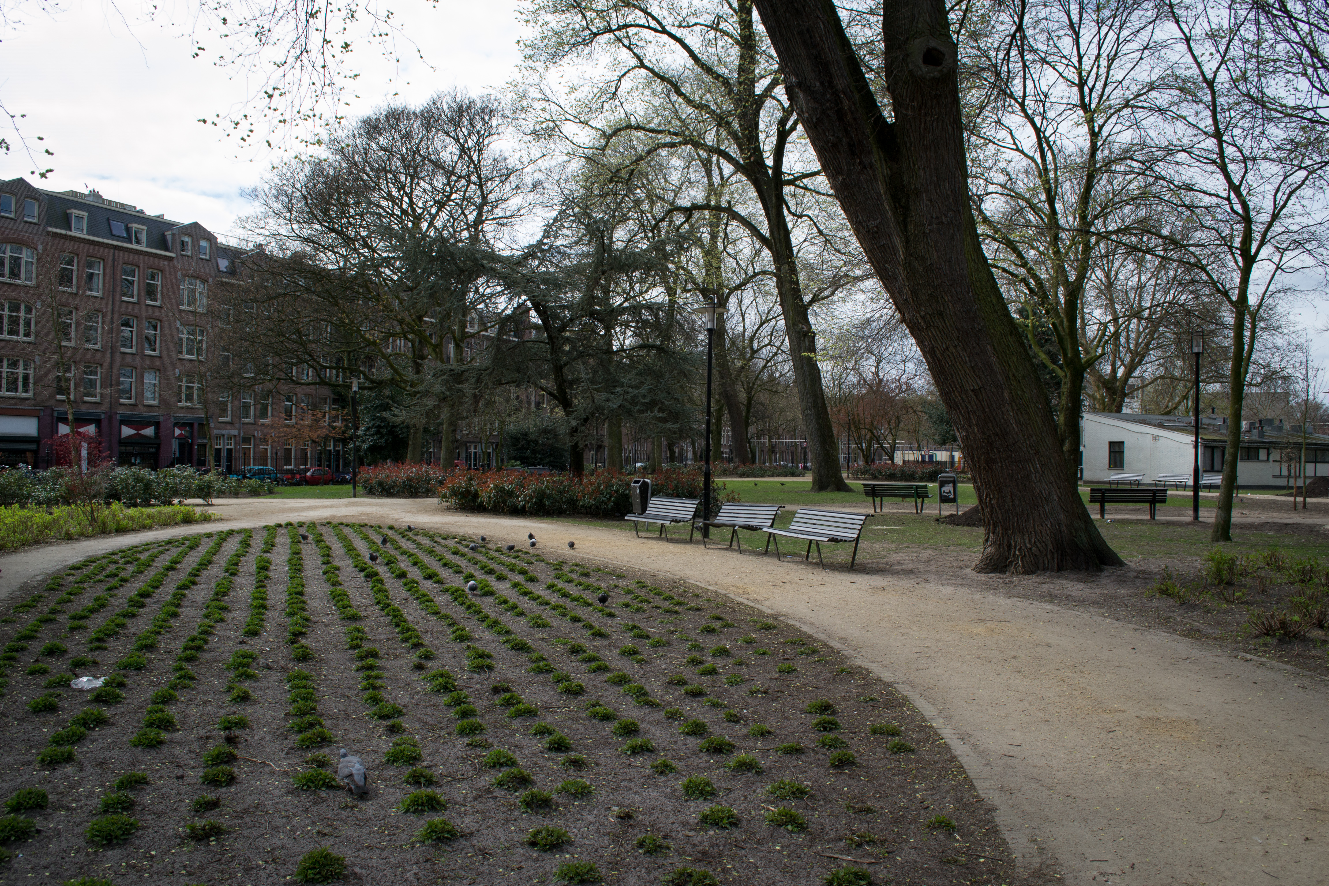 Oud-West