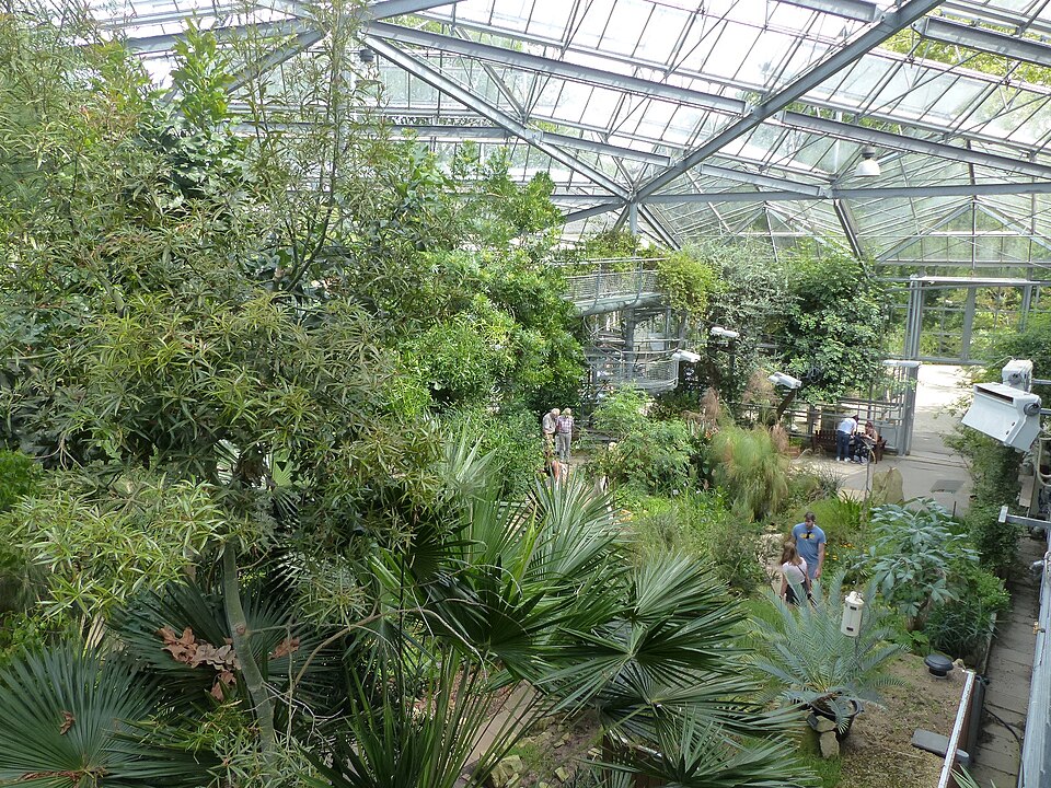 Plantage