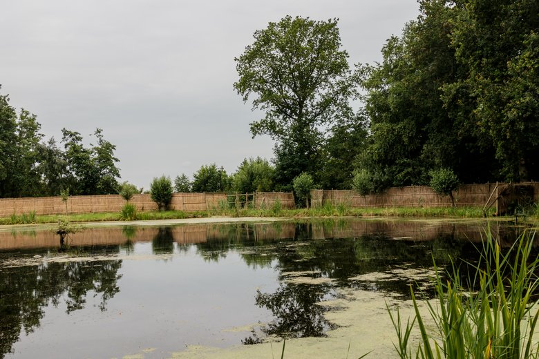 Friesland