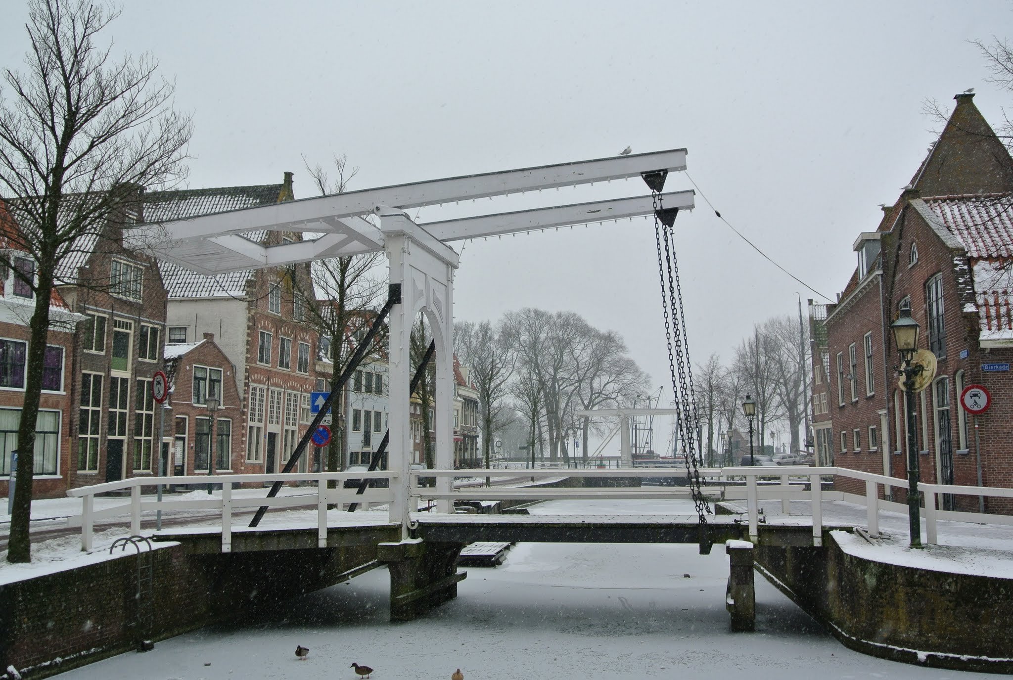 Hoorn