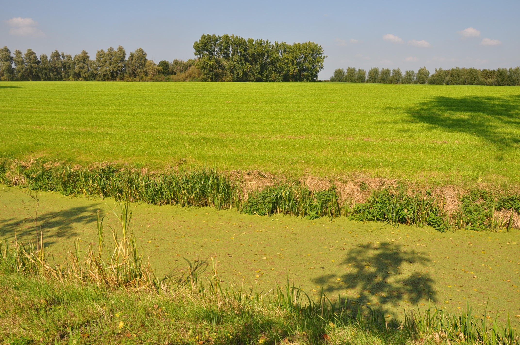 Zoetermeer