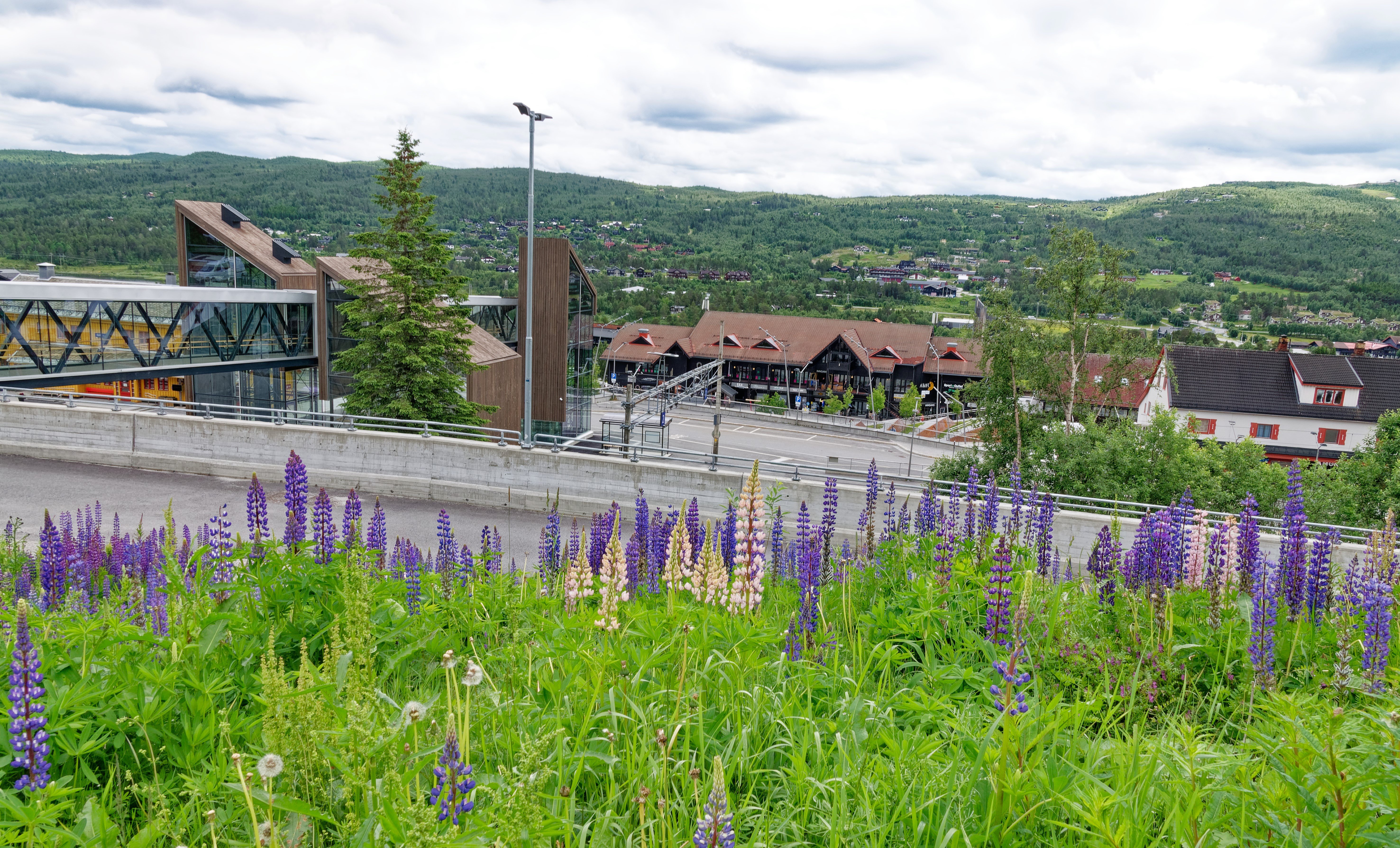 Geilo