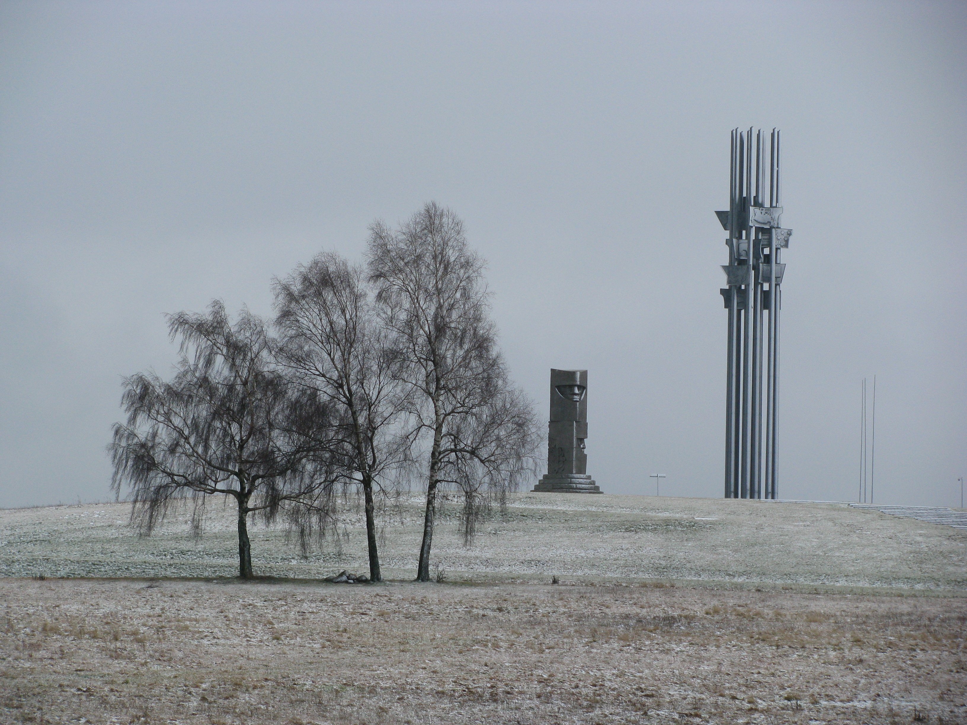 Grunwald Battlefield
