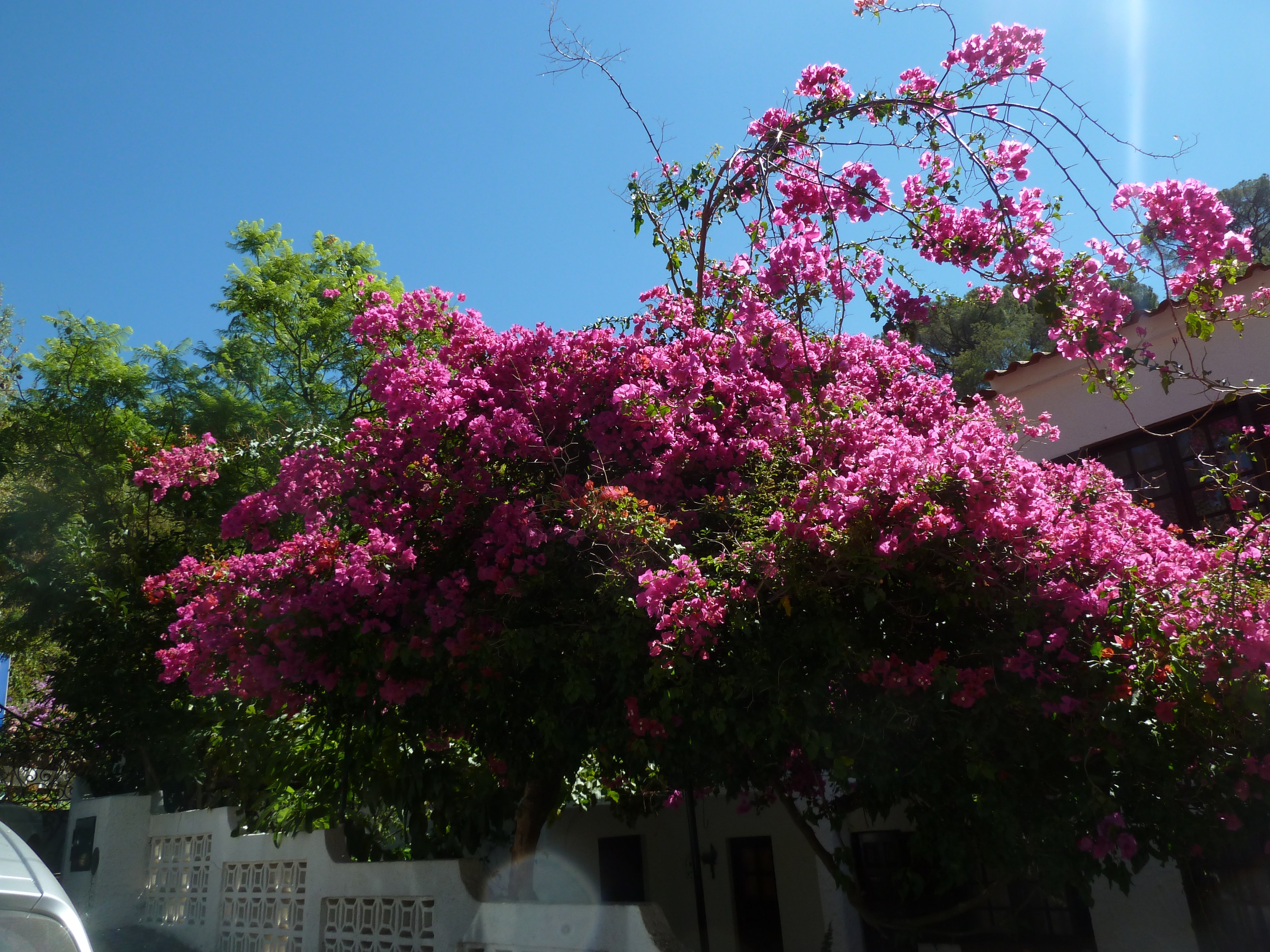 Algarve