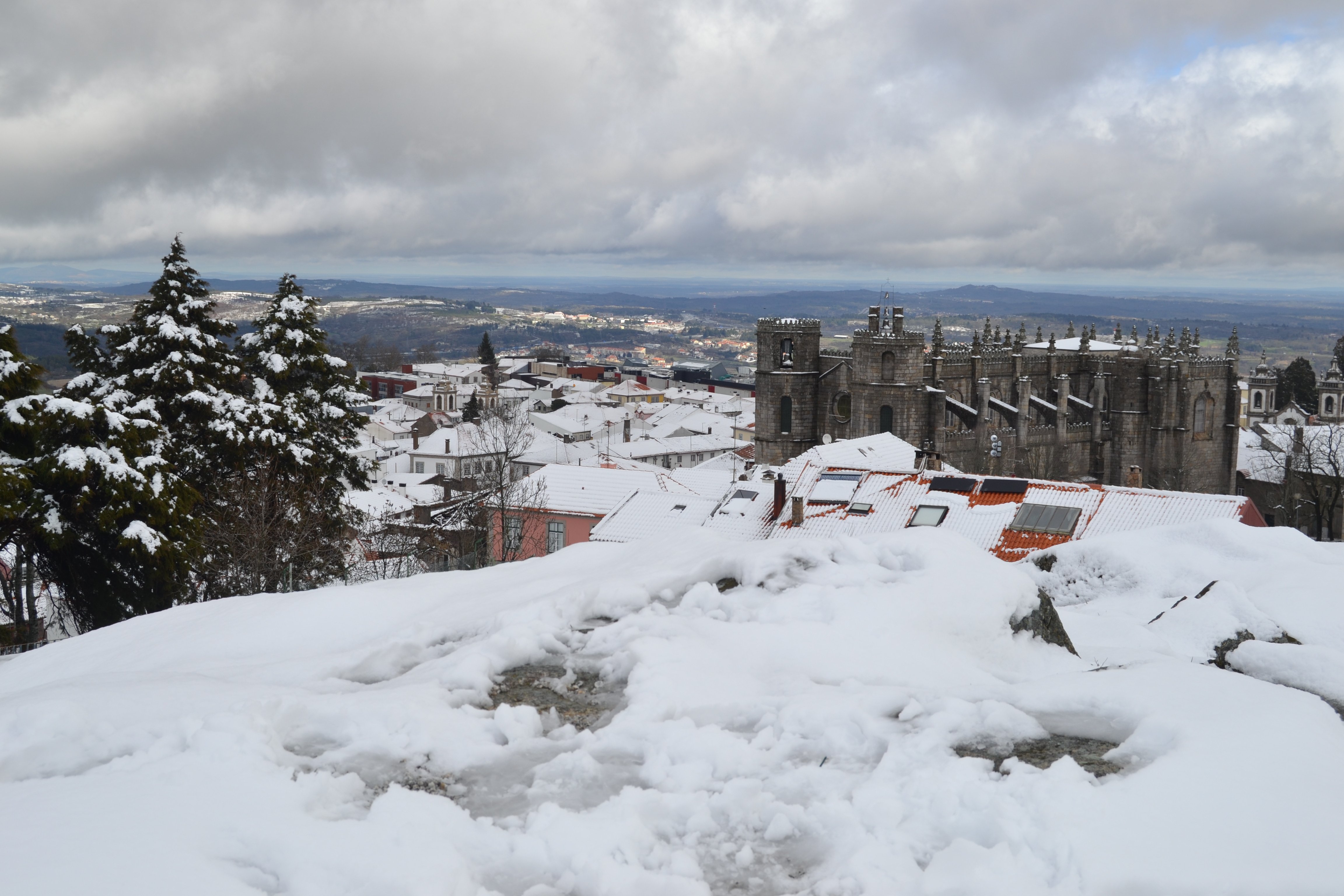 Guarda