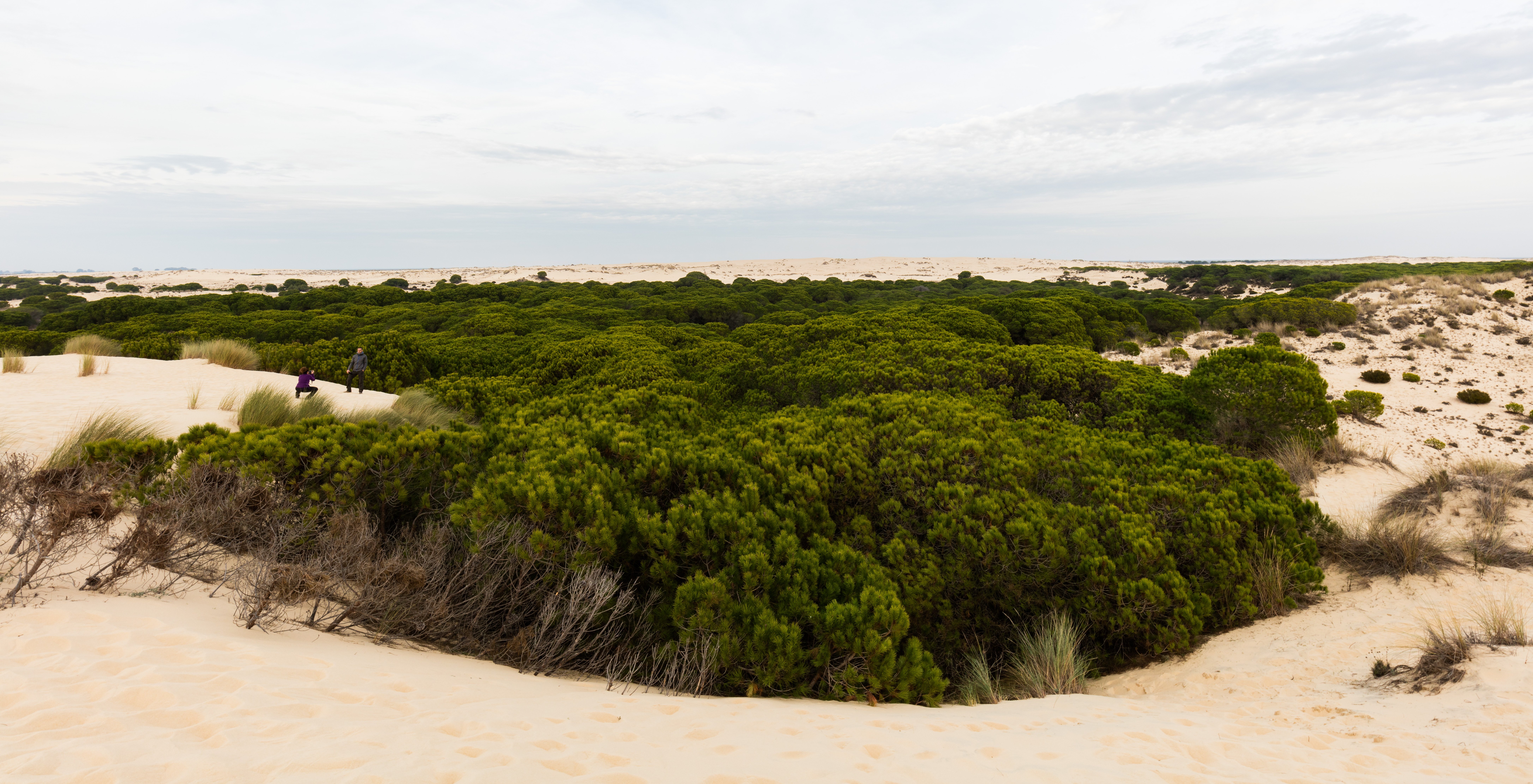 Doñana National Park