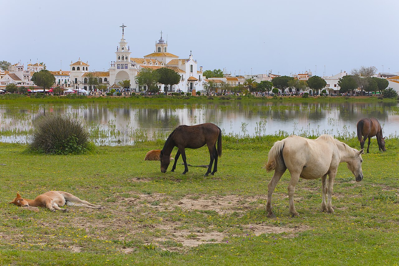El Rocio
