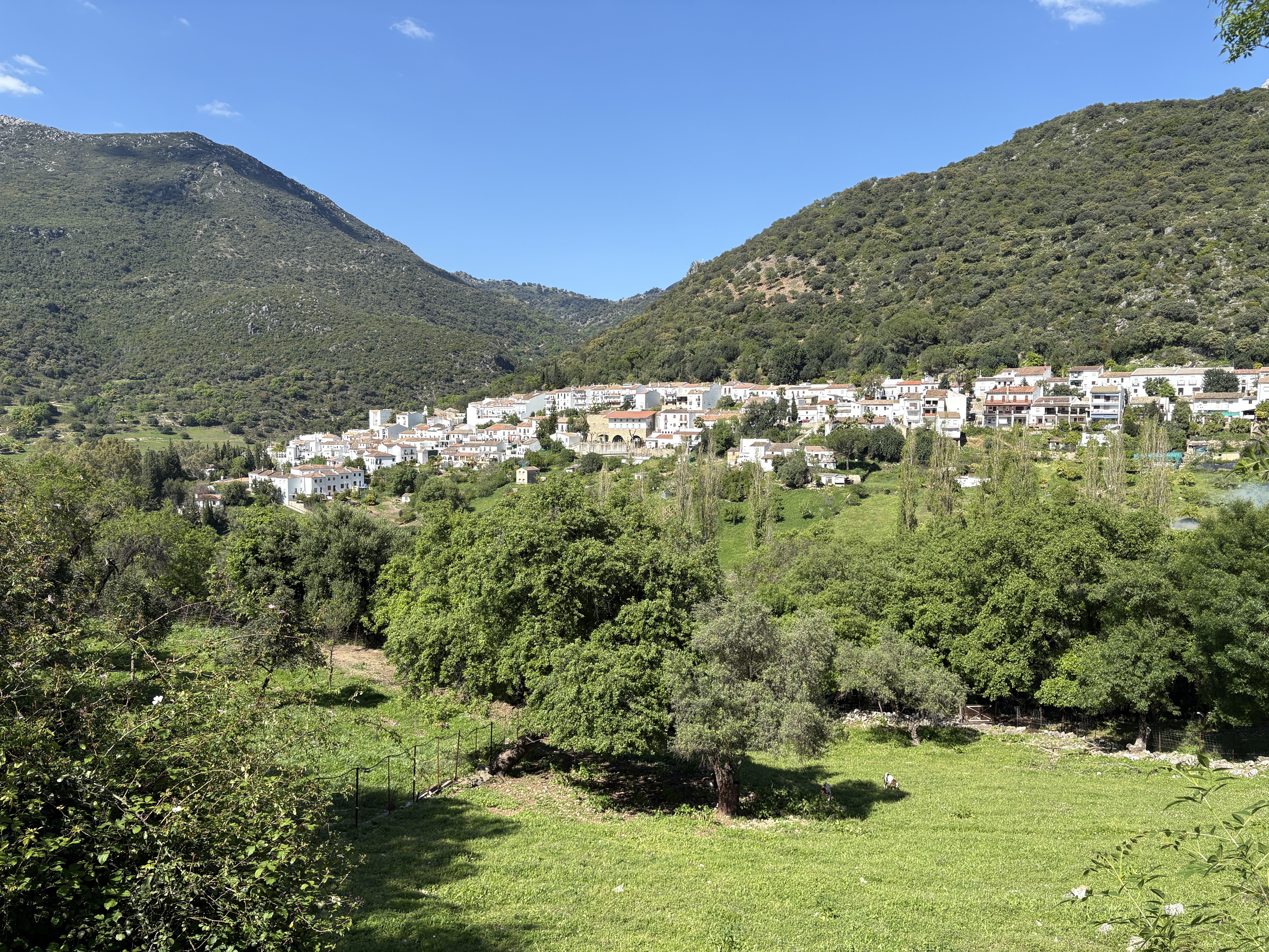 White Villages