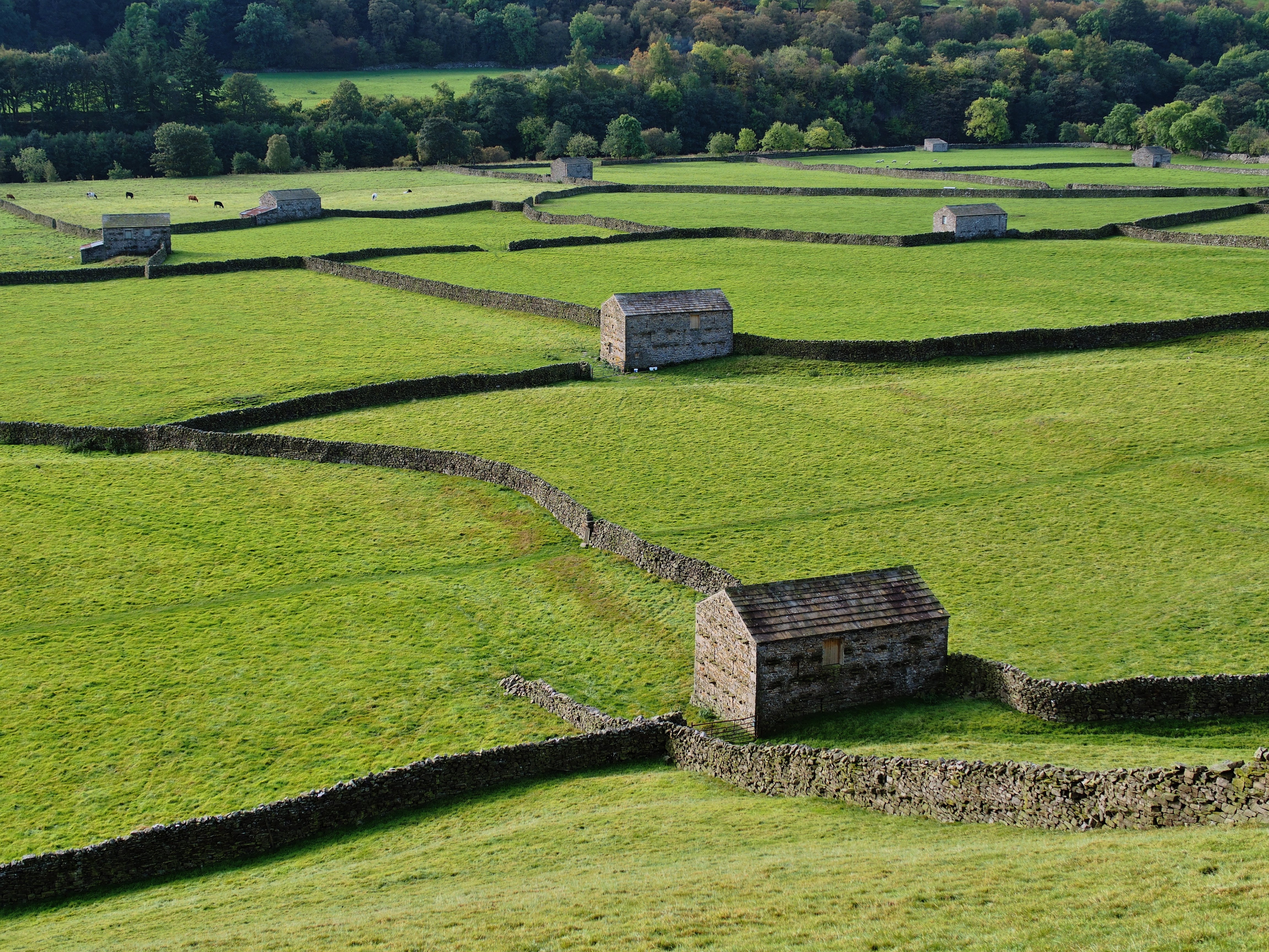 England