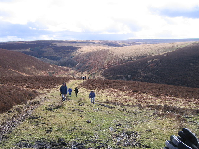 Exmoor