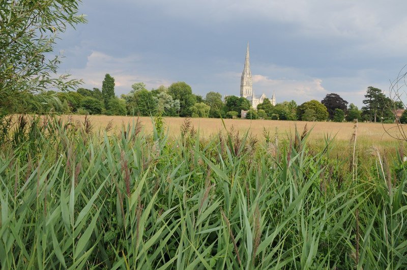 Salisbury