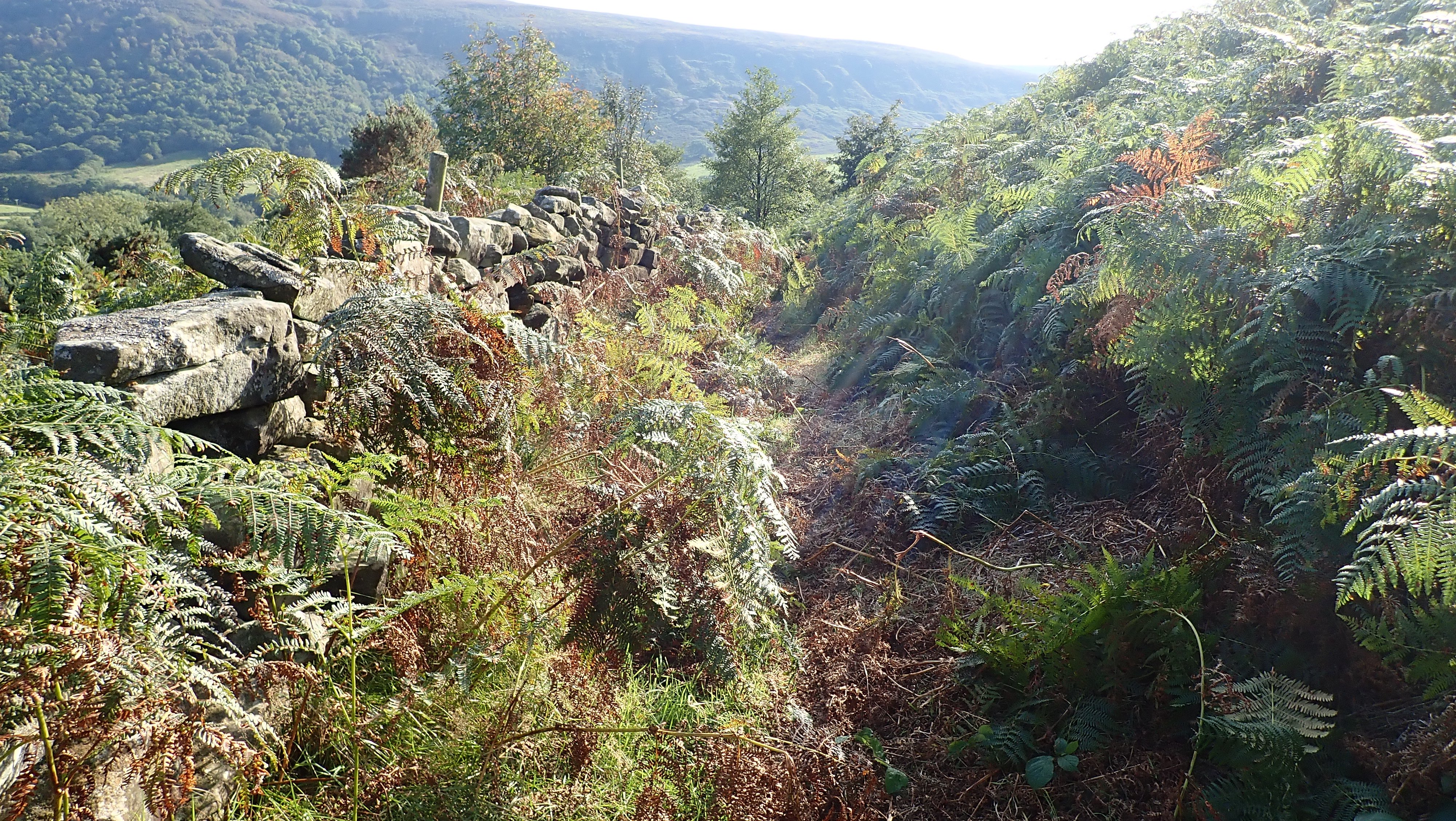 North York Moors