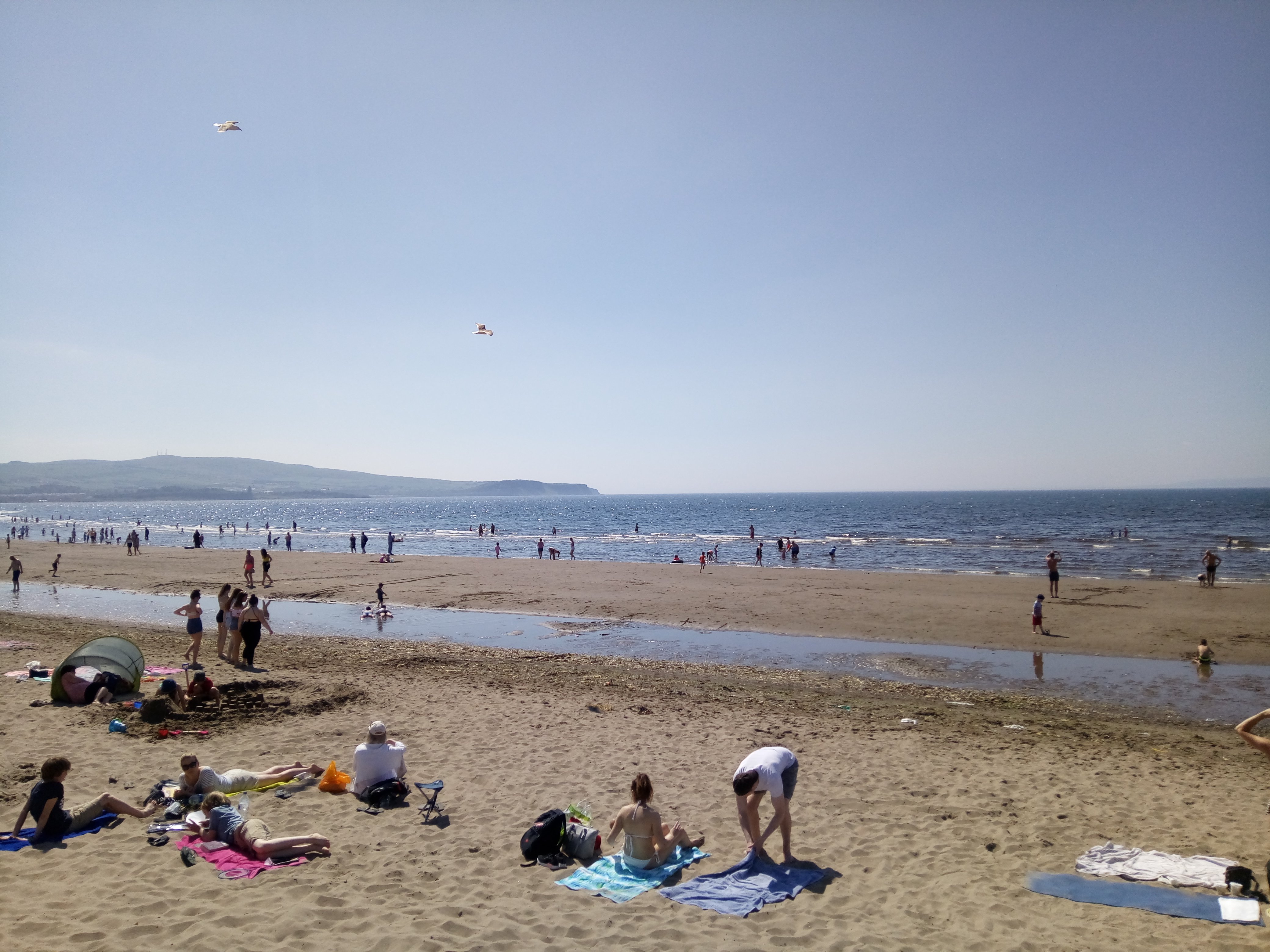 Ayr