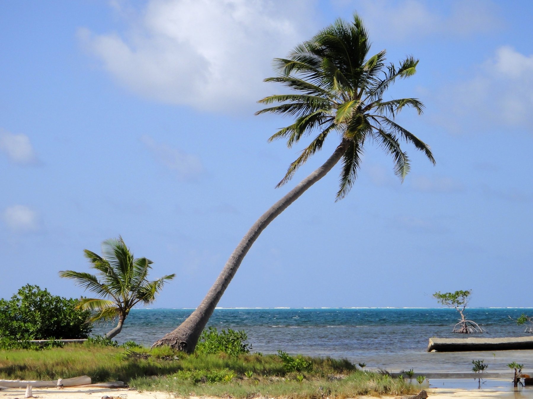 Turneffe Islands