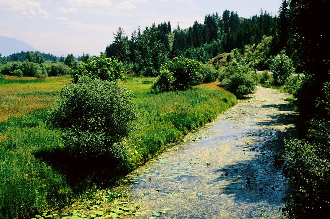 Creston