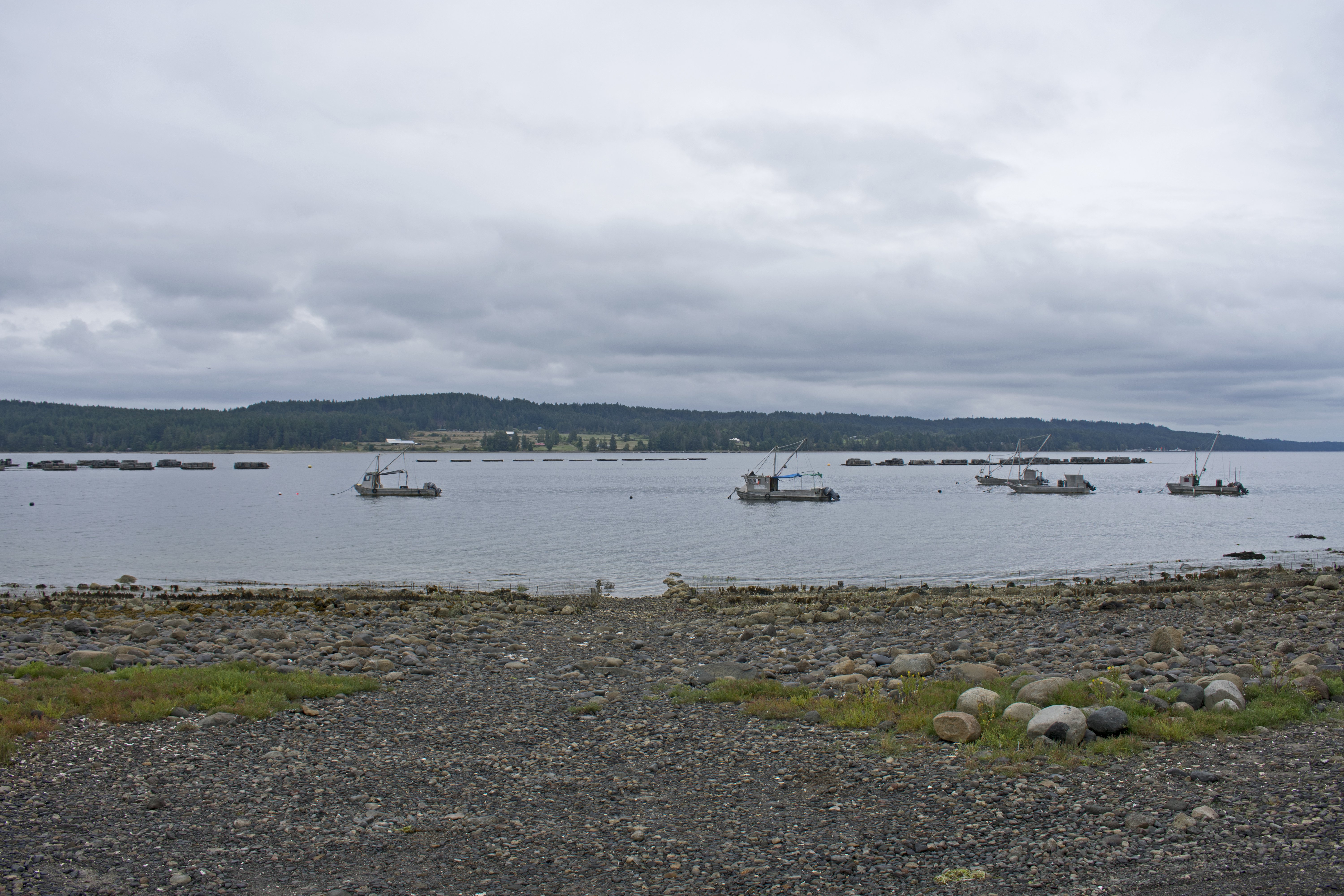 Denman Island