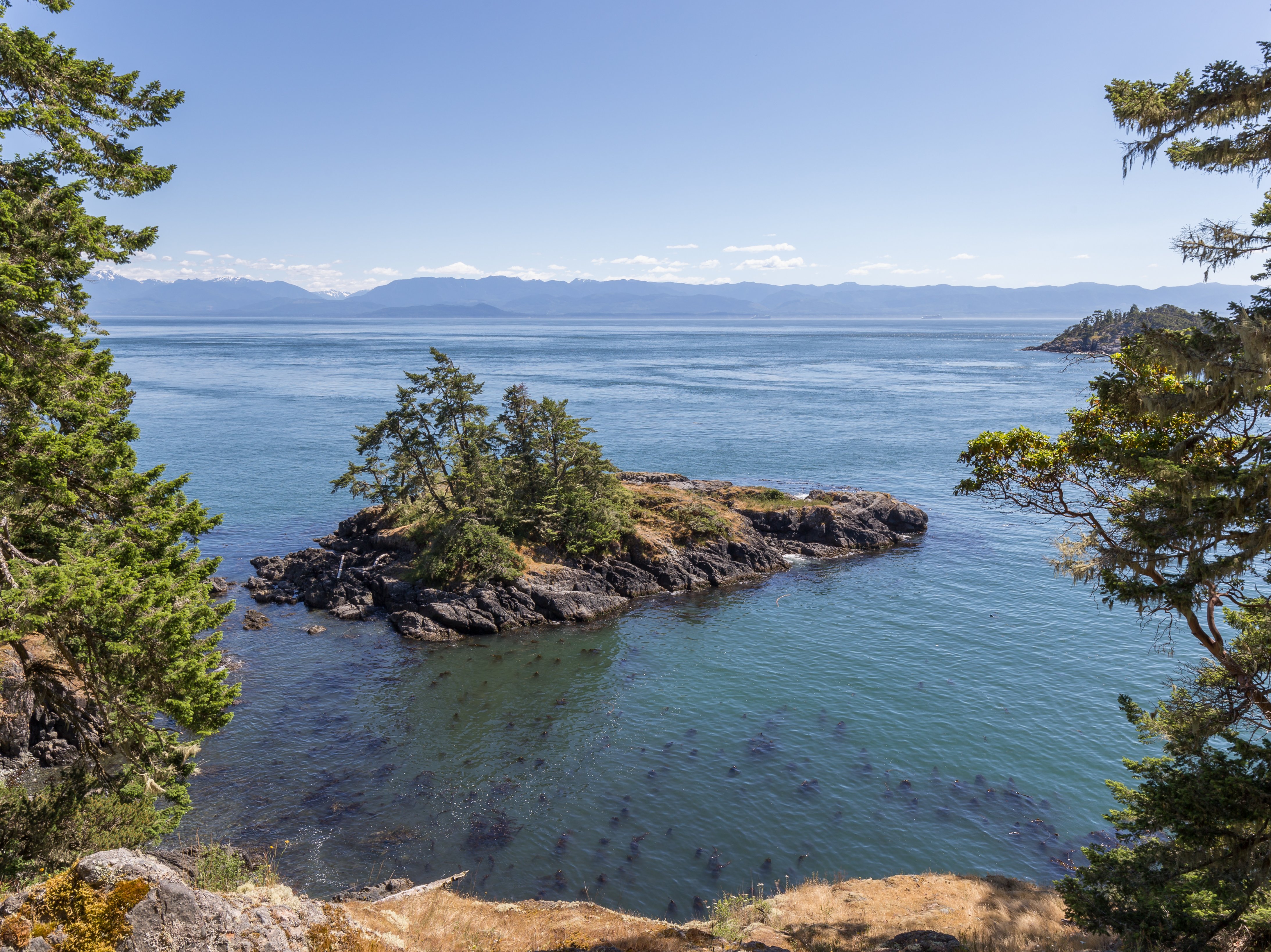 Sooke