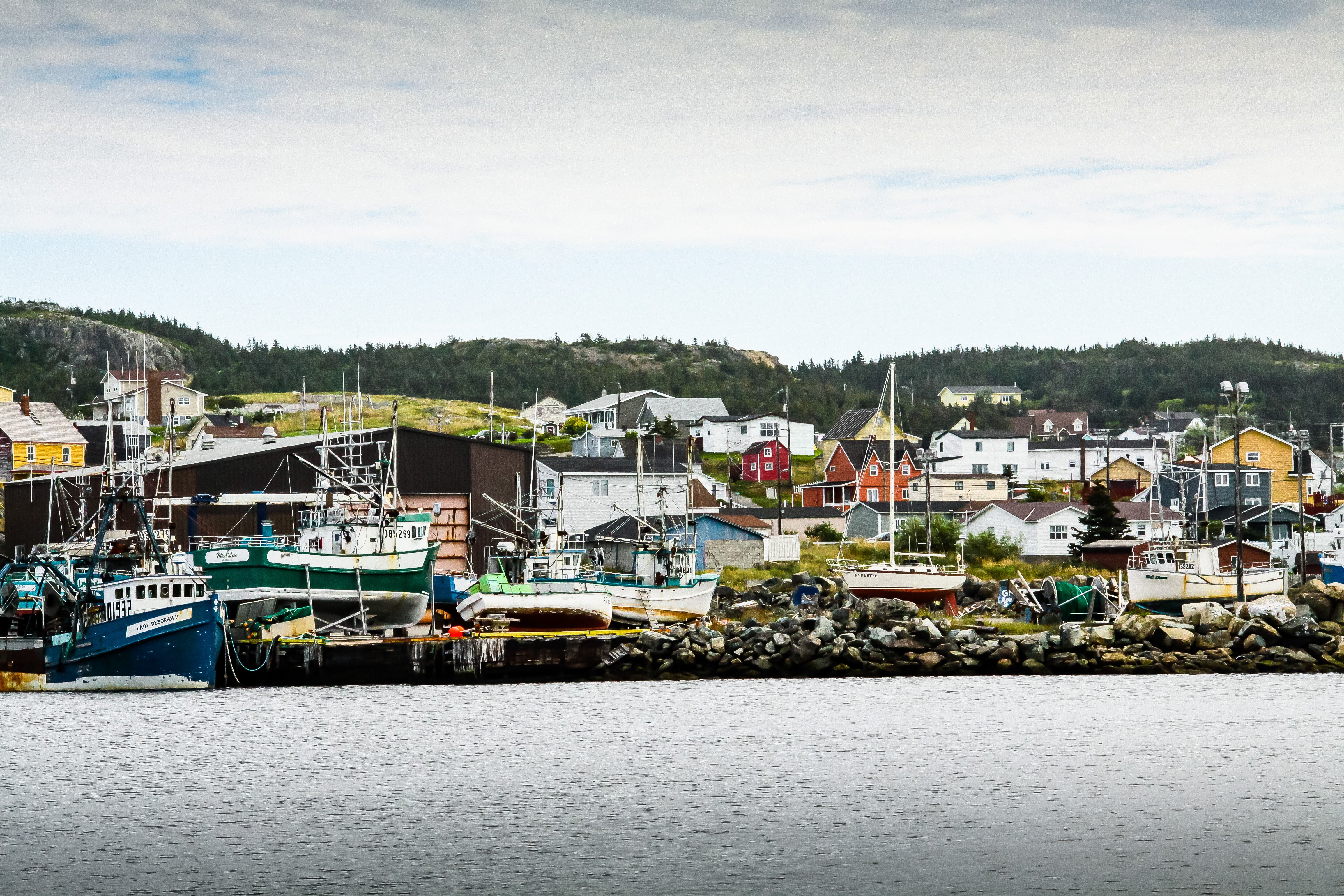 Bonavista