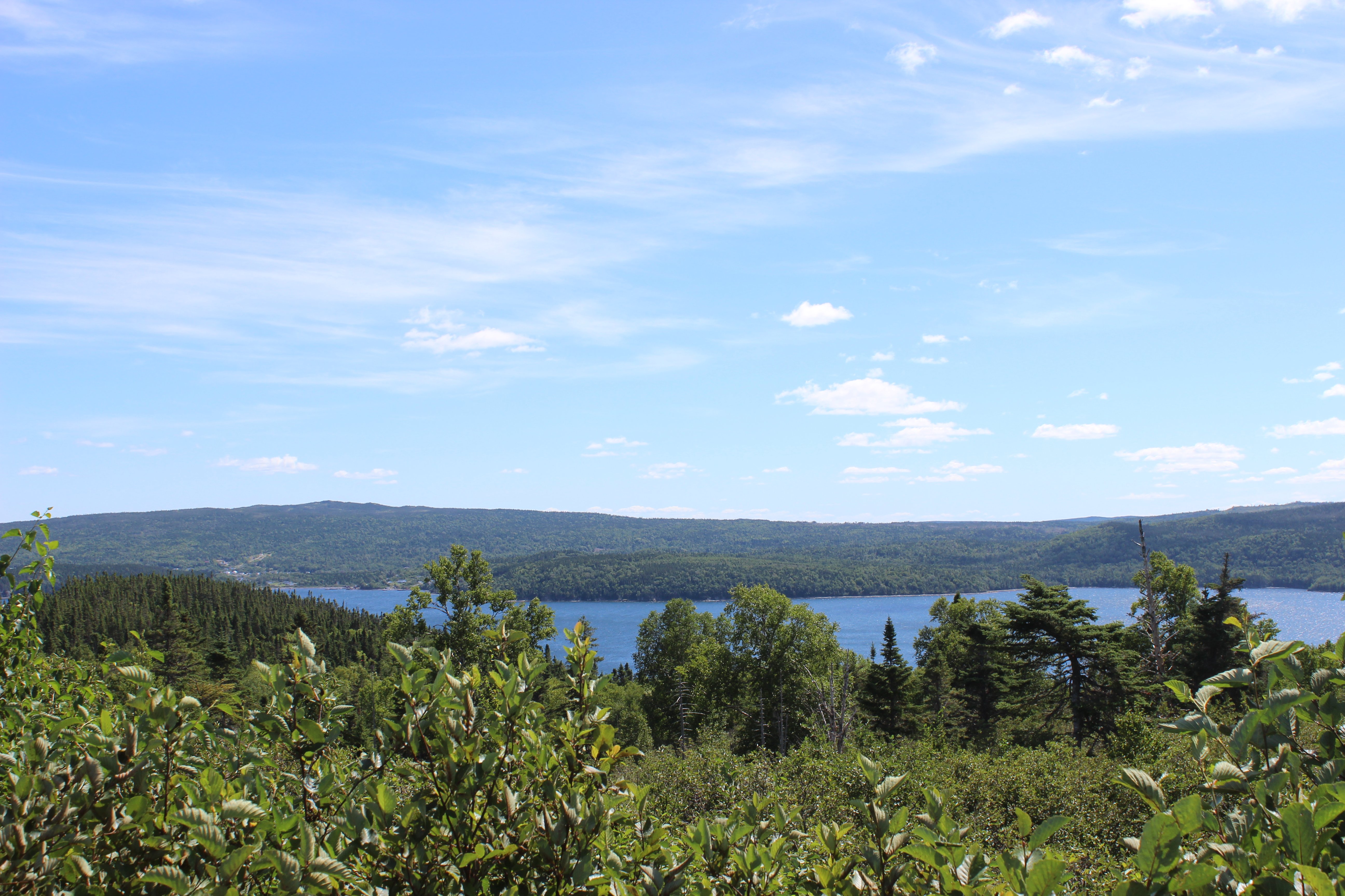 Terra Nova National Park